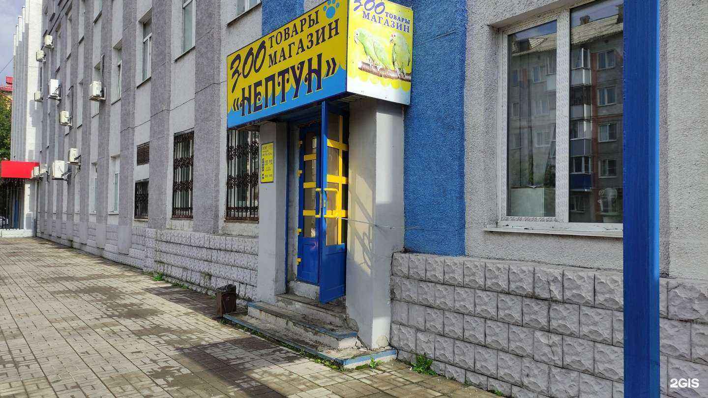 Отзывы на компанию Нептун в г. Междуреченск c фото