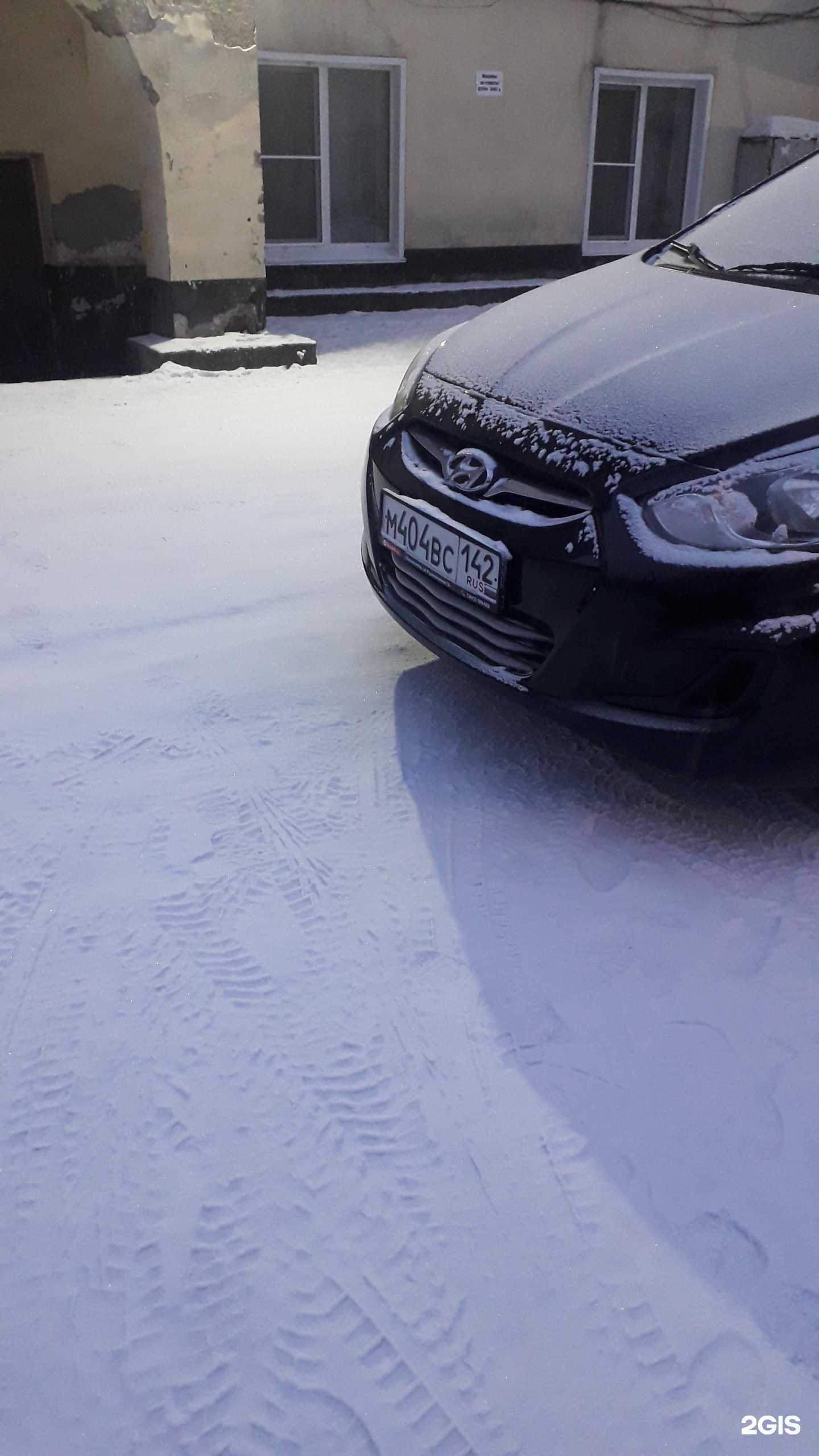 Отзывы на компанию Чистые лапки в Новокузнецке c фото - фотография 2 из 2