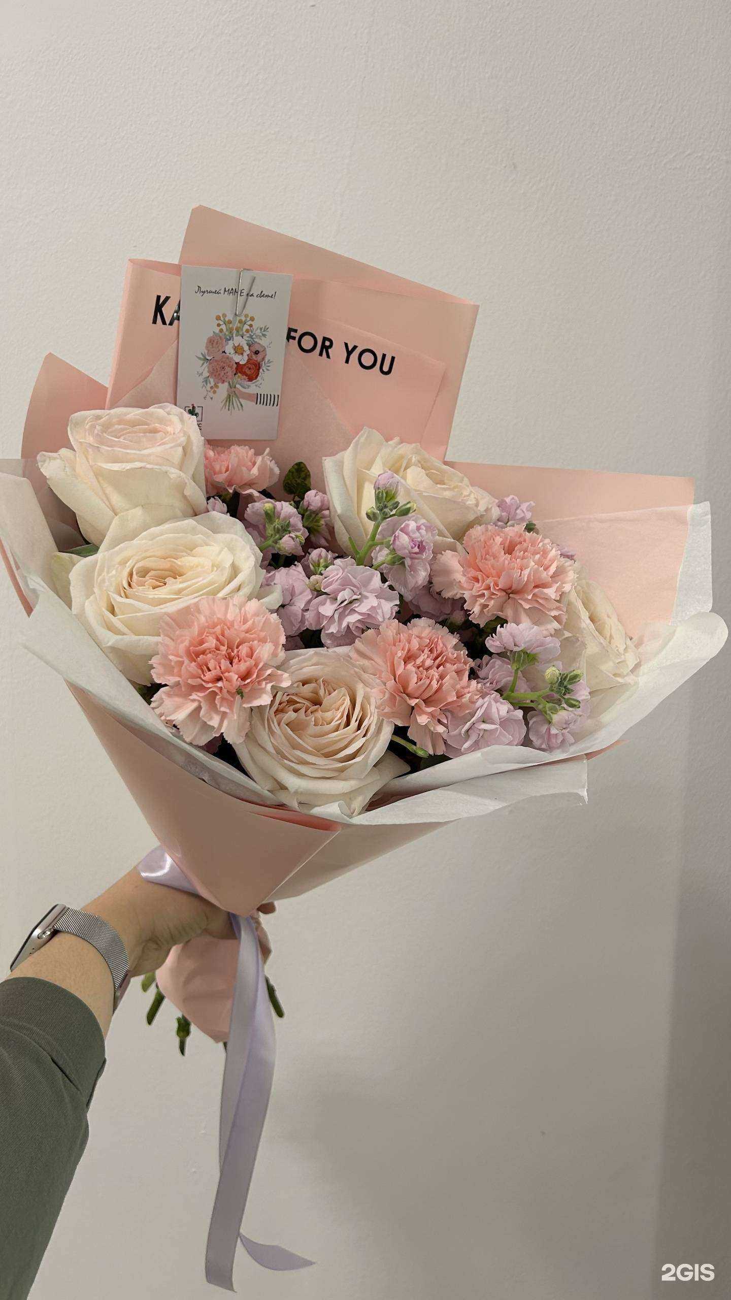 Отзывы на компанию Кактус в г. Якутск c фото