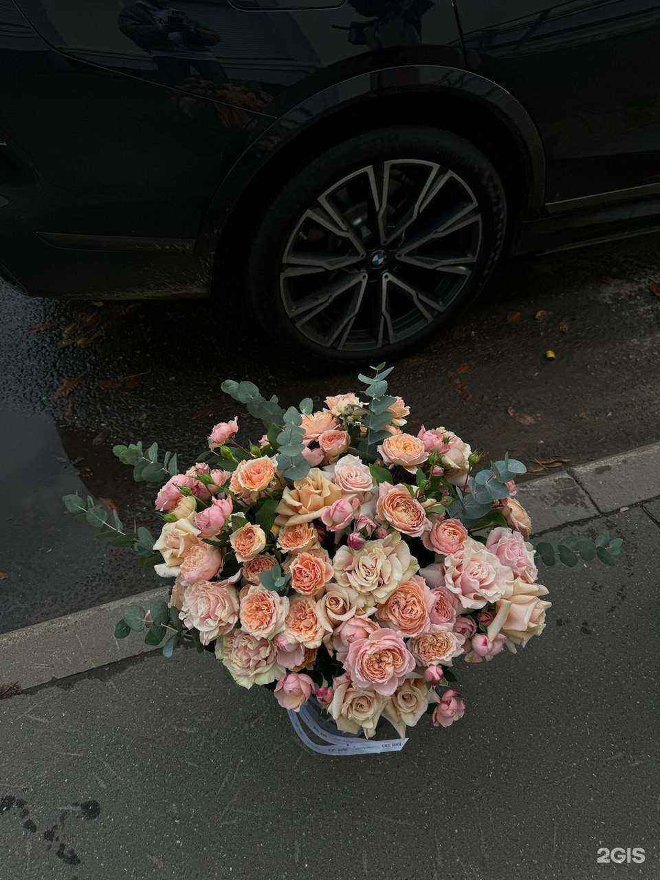 Отзывы на компанию Mon_ami в г. Тольятти c фото