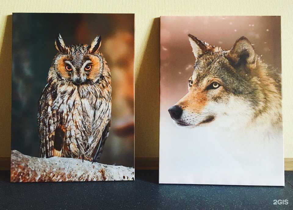 Отзывы на компанию ИВА принт в Челябинске c фото