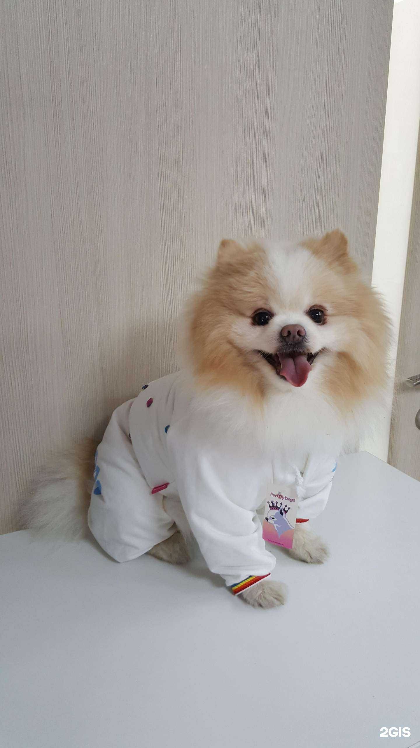 Отзывы на компанию Друг в Омске c фото