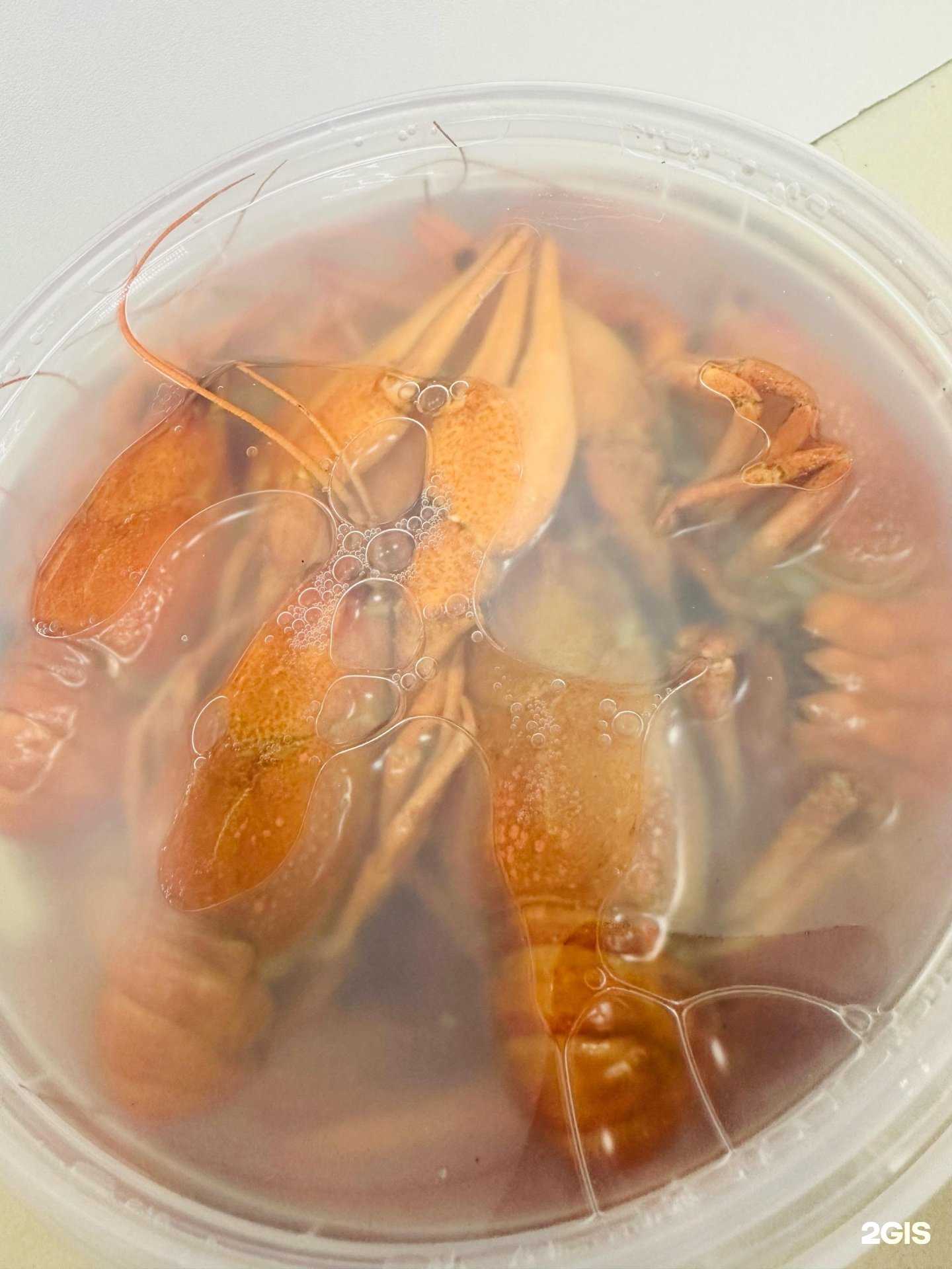 Отзывы на компанию Бутик 66 в г. Казань c фото