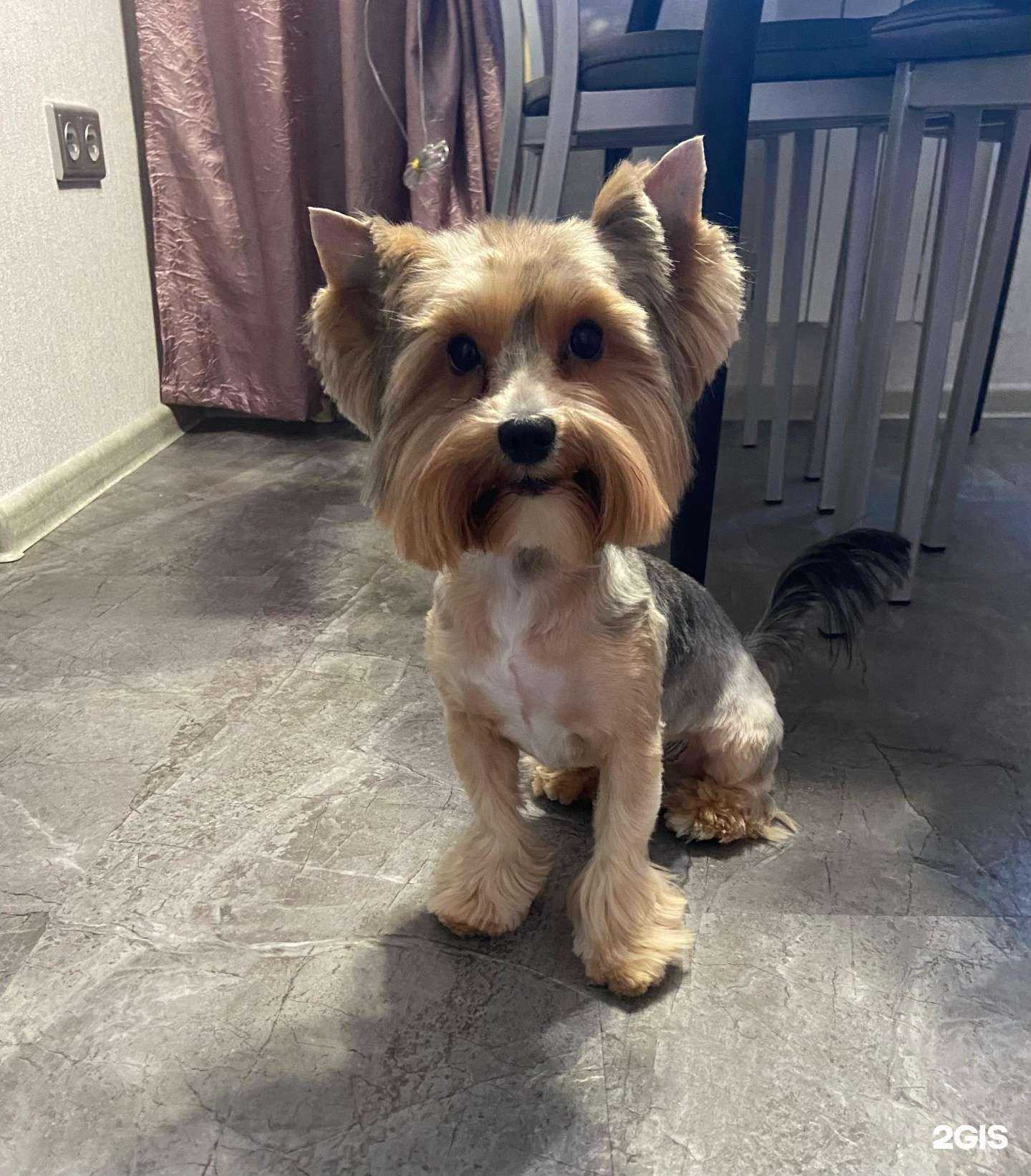 Отзывы на компанию Бублик в Хабаровске c фото