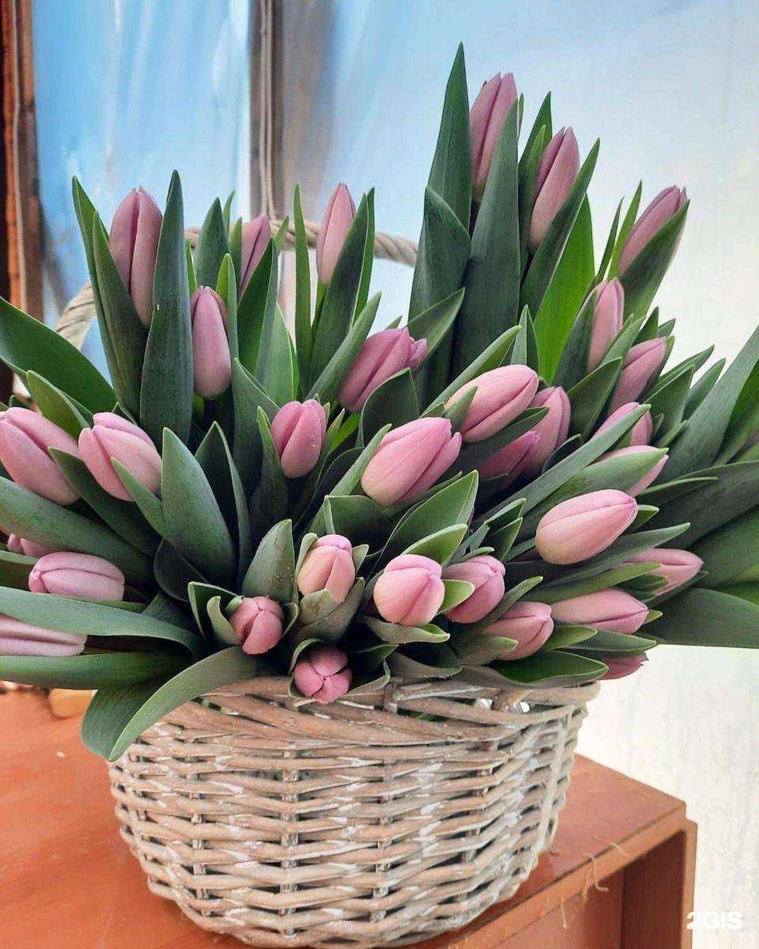 Отзывы на компанию Азалия в Миассе c фото