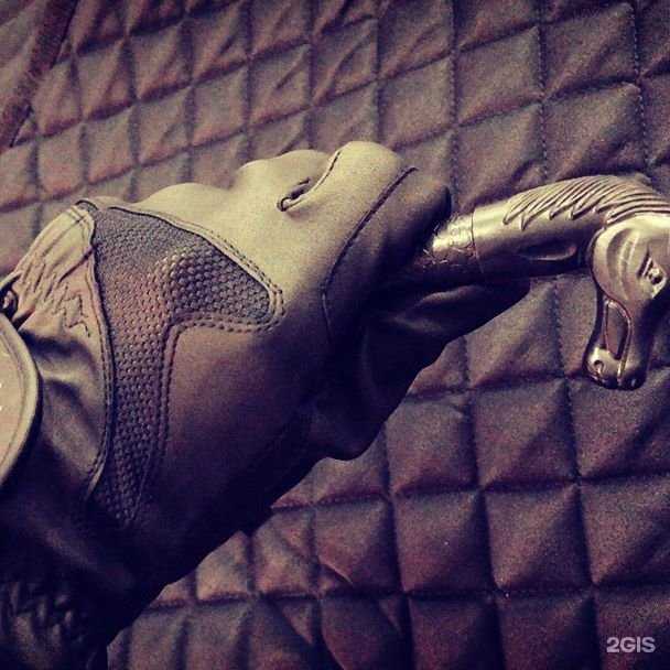 Отзывы на компанию Магазин зоотоваров в г. Махачкала c фото