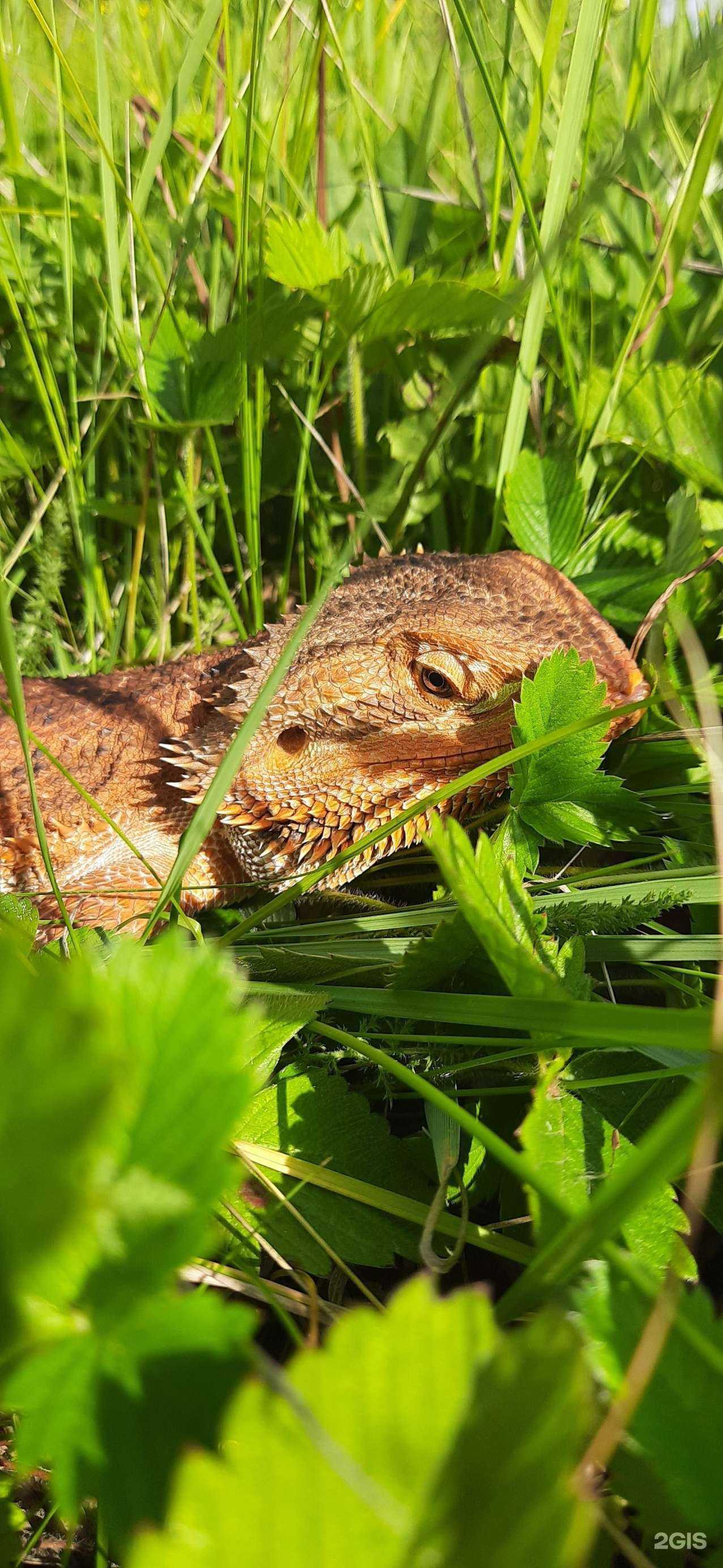 Отзывы на компанию Ветка  в Кургане c фото