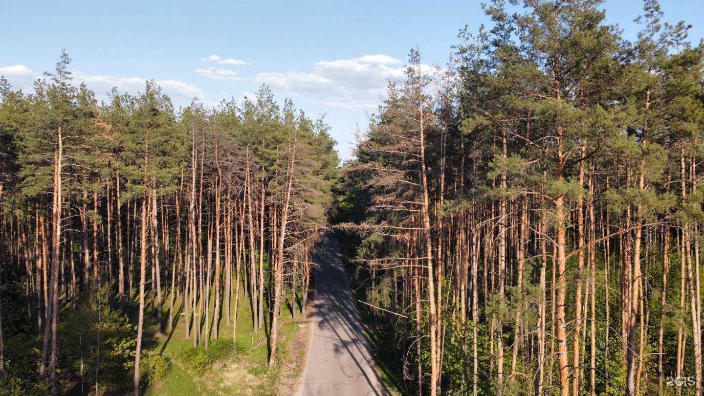 Отзывы на компанию Берегите лес в Воронеже c фото