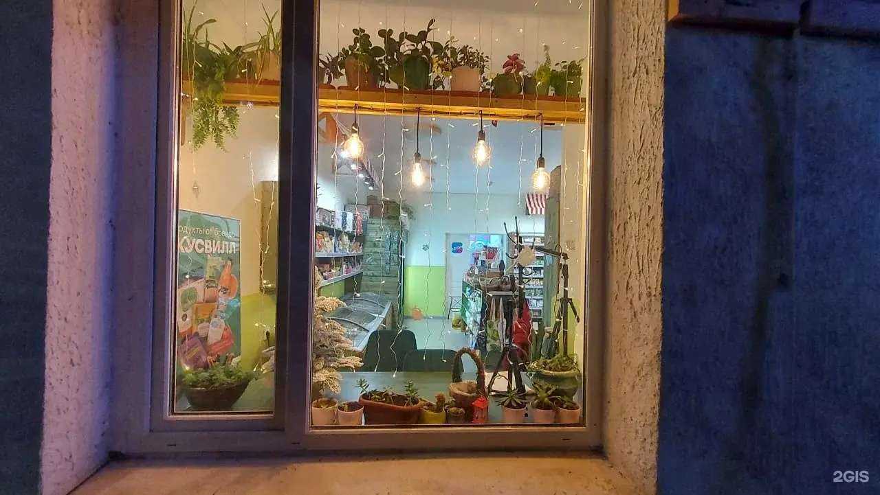 Отзывы на компанию Заячья капуста в Сочи c фото