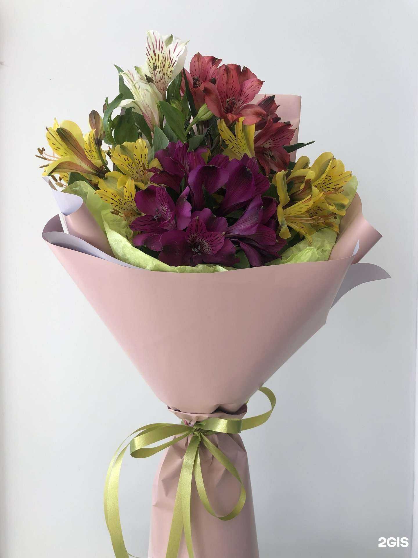 Отзывы на компанию Сити флора в г. Кострома c фото