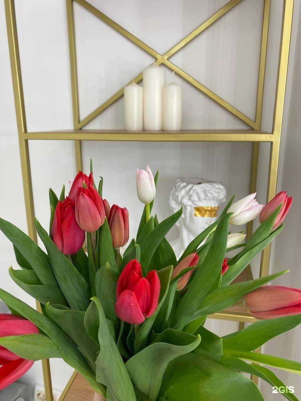 Отзывы на компанию Brow Bar by Vasil’eva в г. Псков c фото