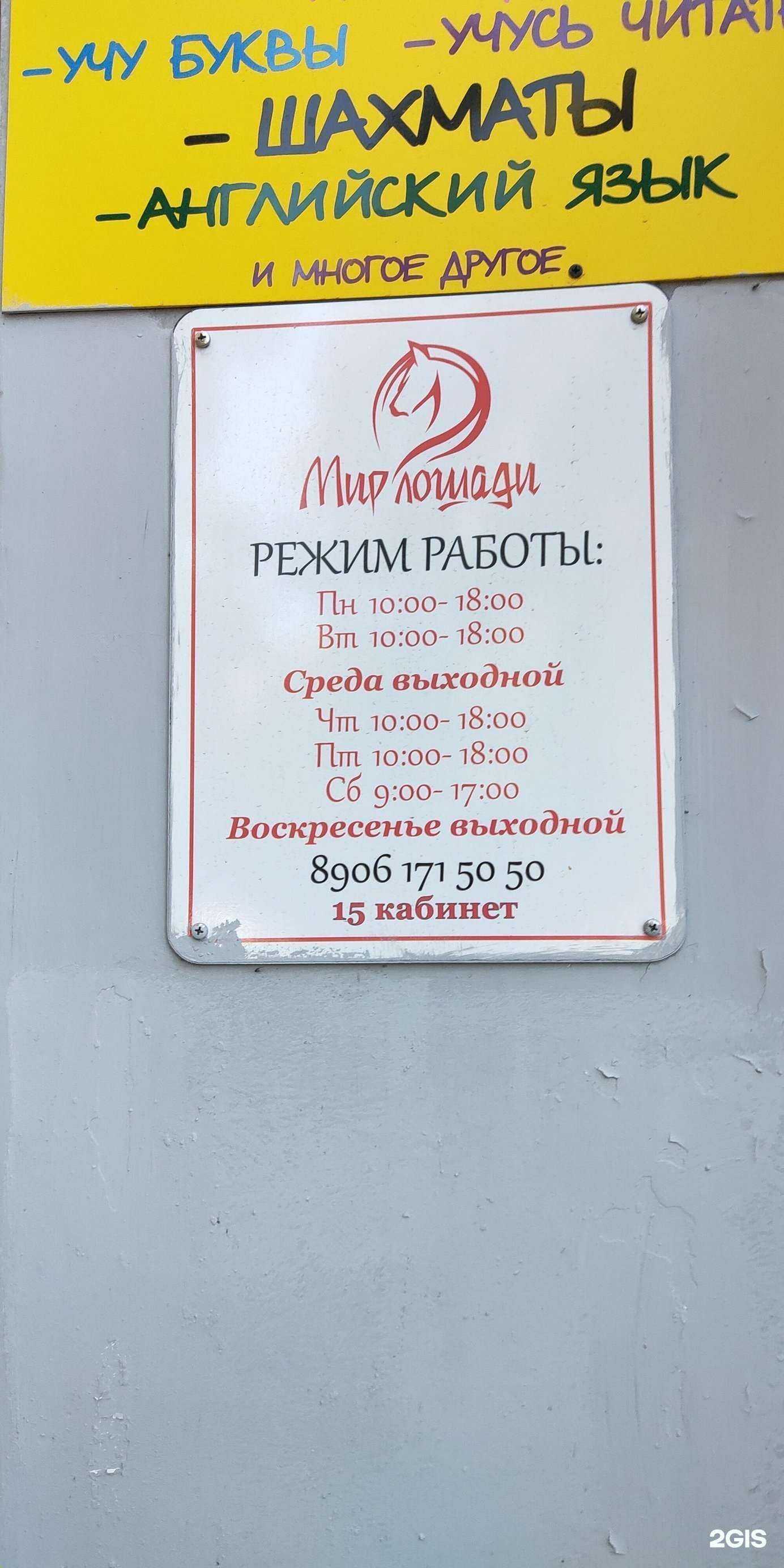 Отзывы на компанию Мир лошади в г. Волгоград c фото