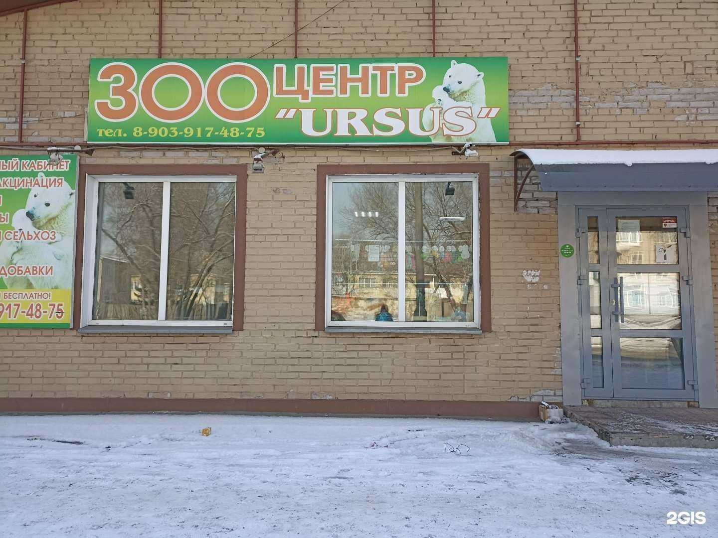 Отзывы на компанию Ursus в Черногорске c фото