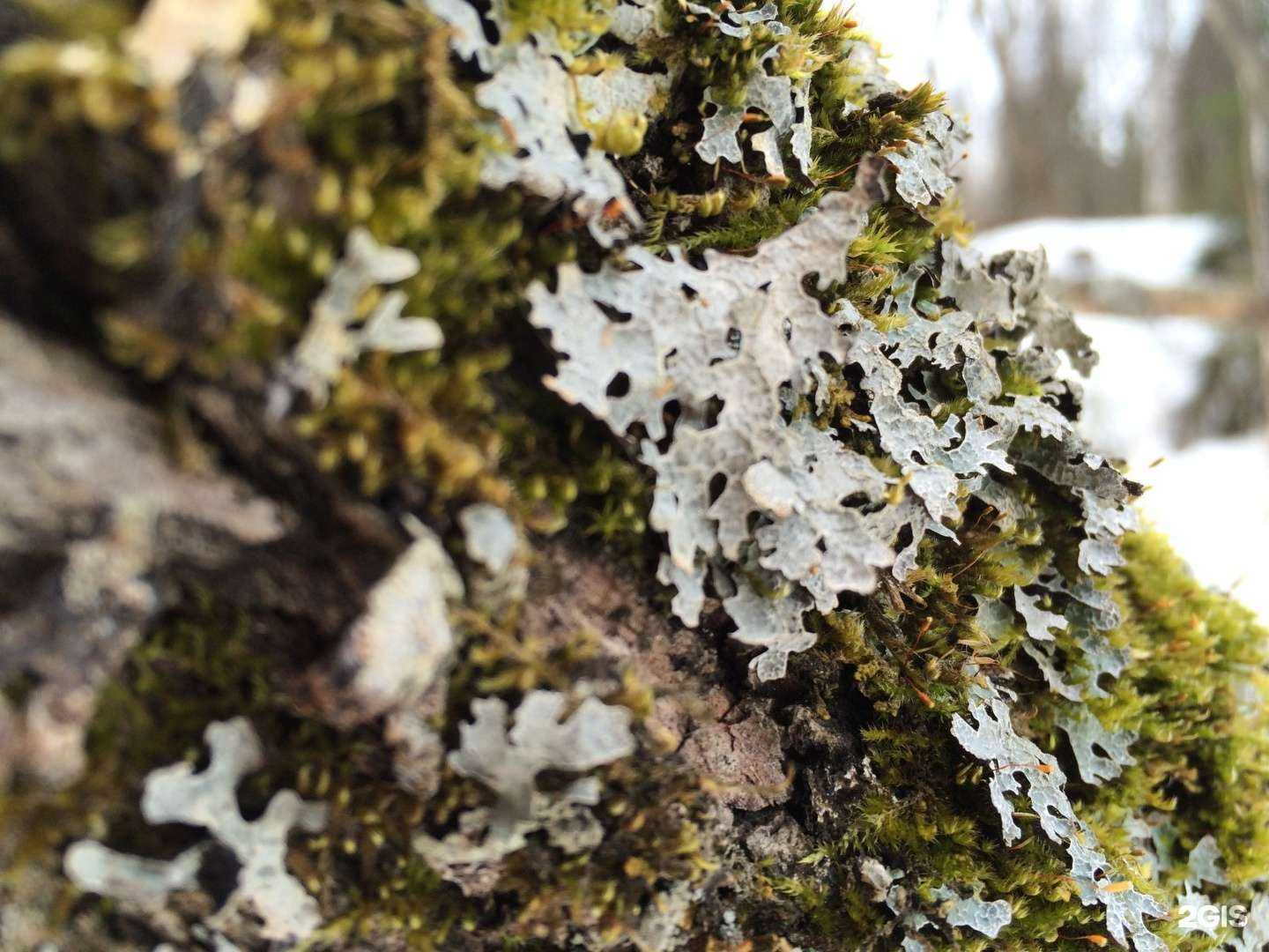 Отзывы на компанию Река Чусовая в г. Нижний Тагил c фото