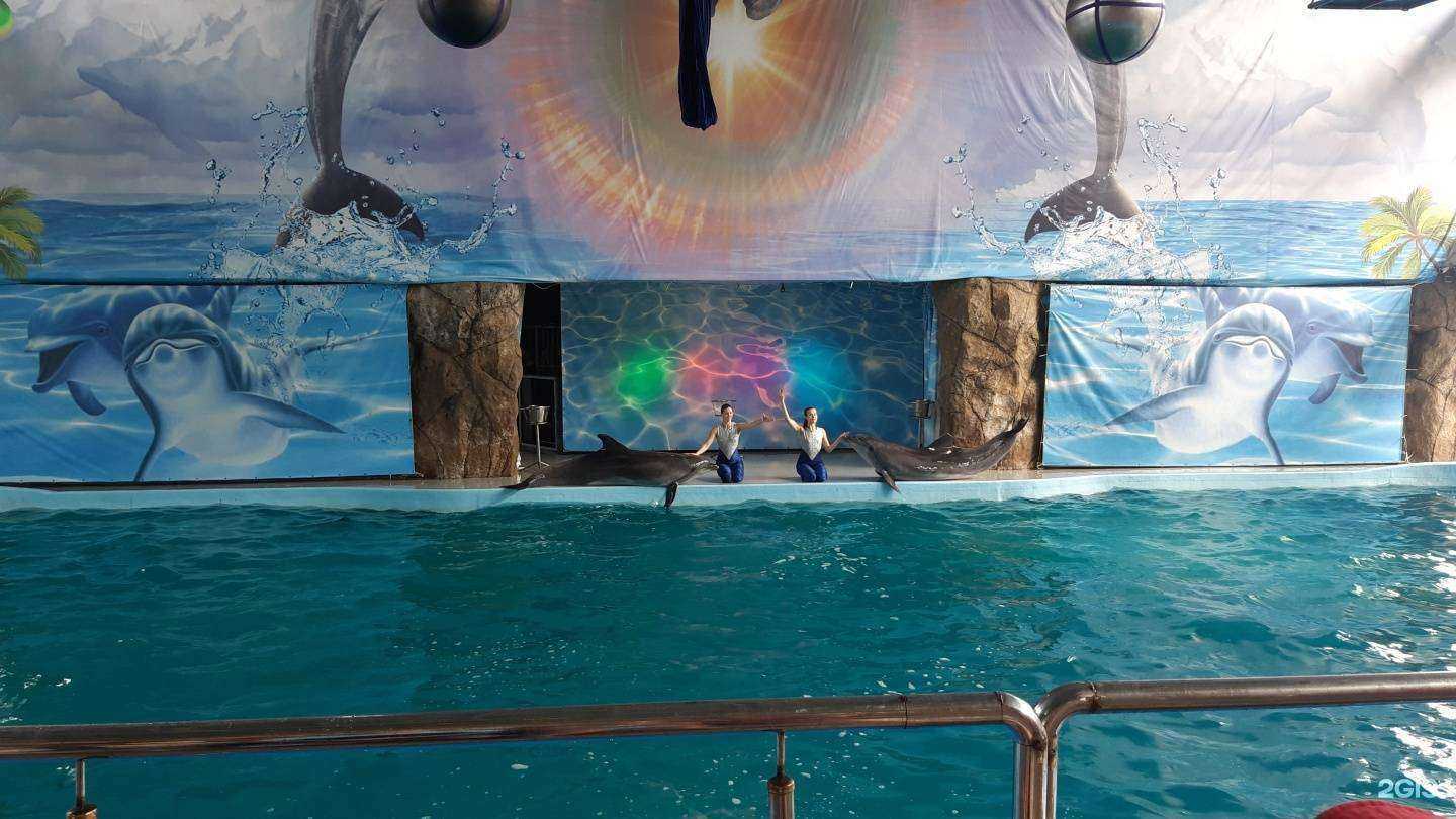 Отзывы на компанию Лазаревский дельфинарий в г. Сочи c фото