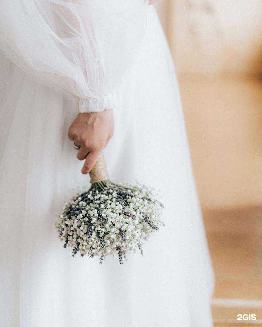 Отзывы на компанию Ботаника в Самаре c фото