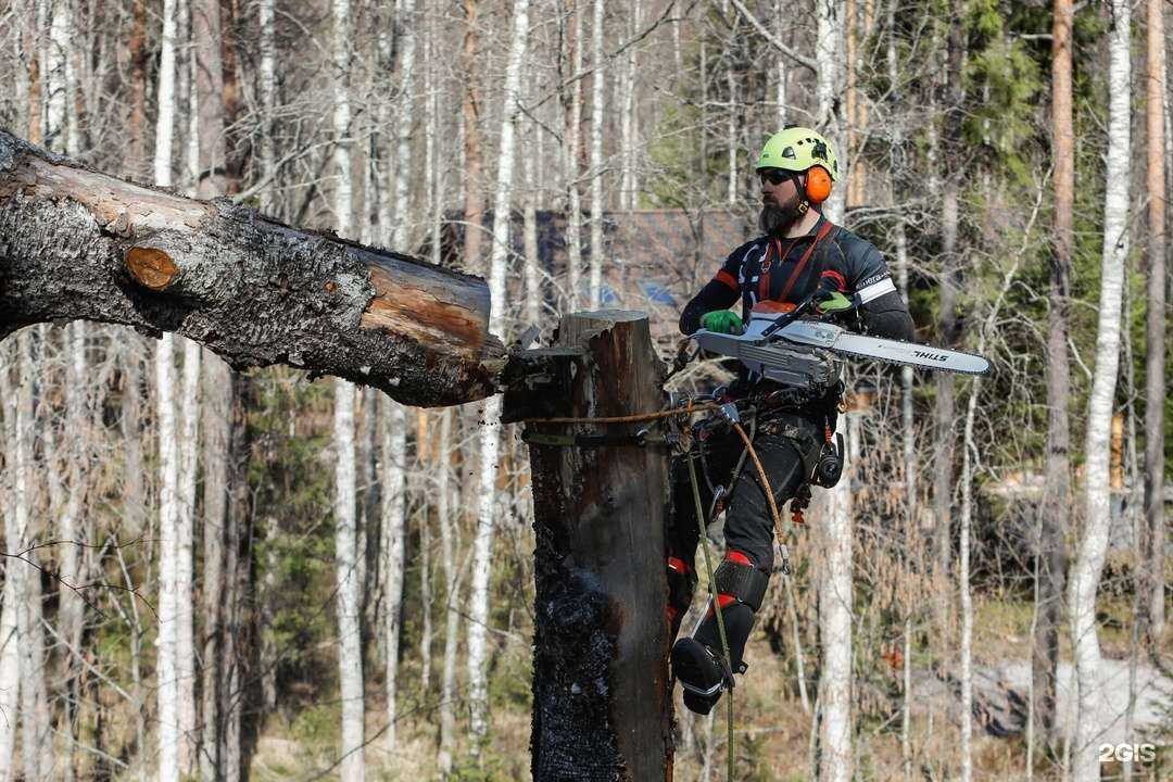 Отзывы на компанию Чистый дом Вилючинск в г. Вилючинск c фото