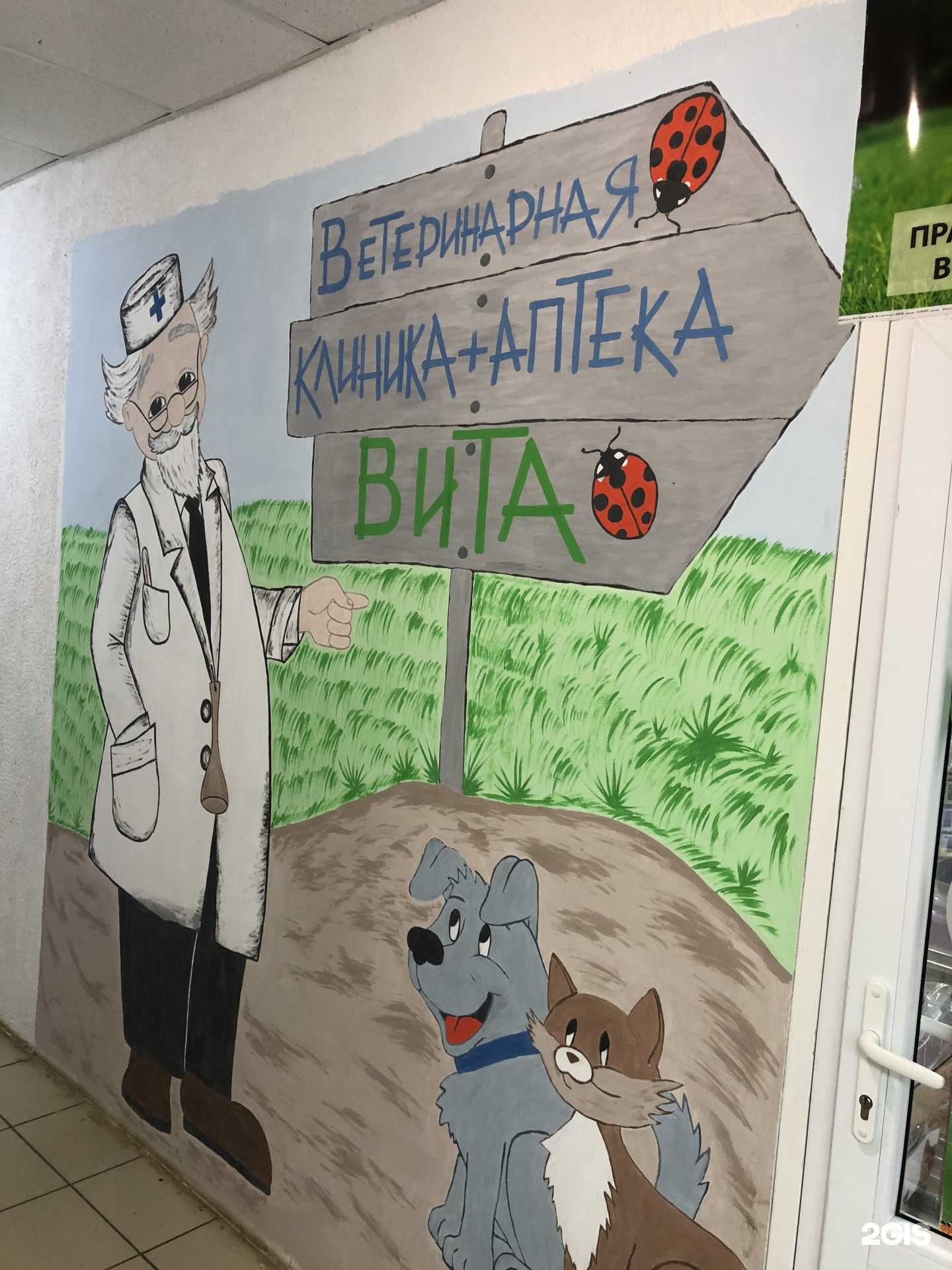 Отзывы на компанию Ветеринарный центр в Елабуге c фото