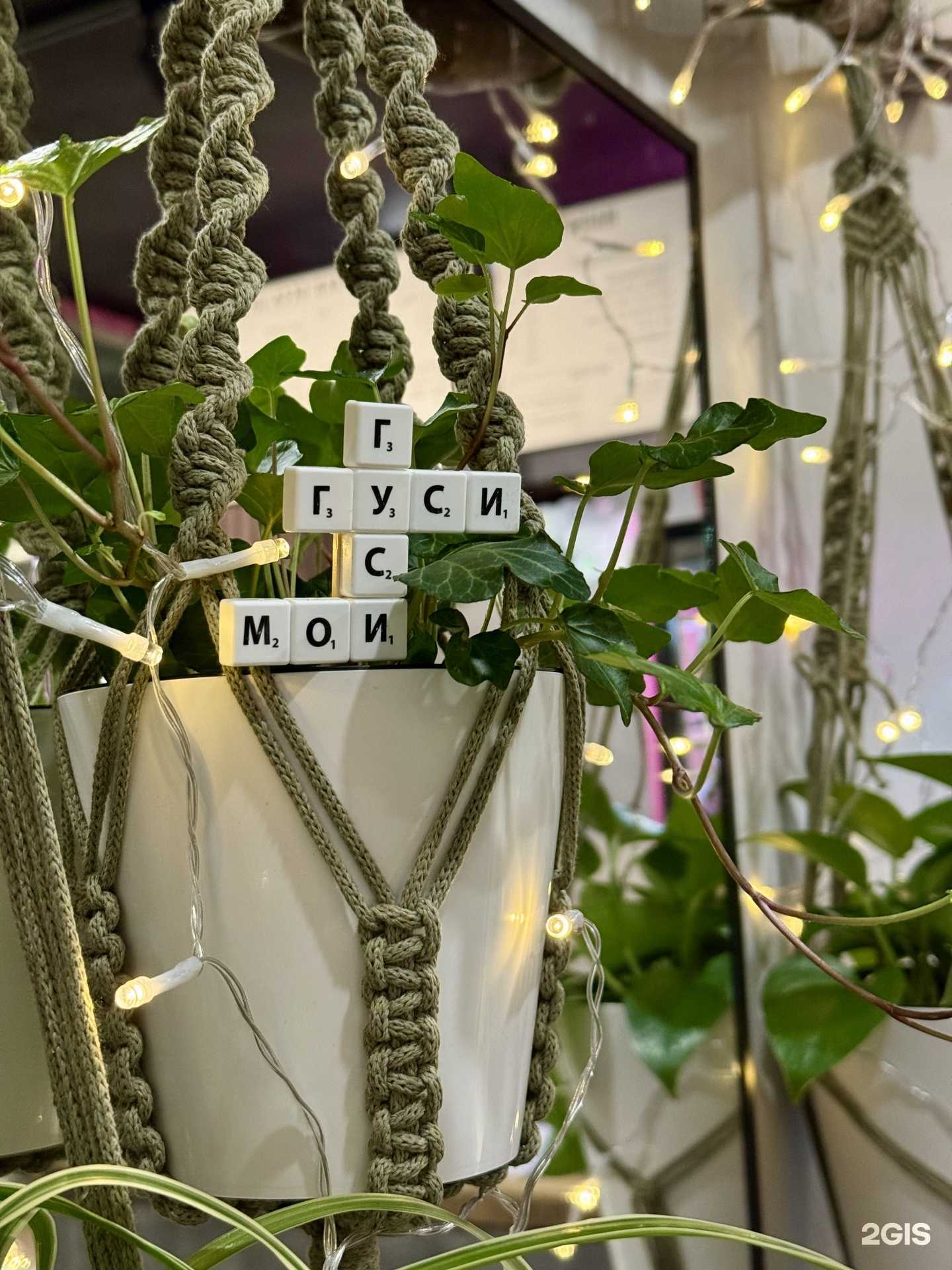 Отзывы на компанию Гуси мои гуси в г. Сочи c фото