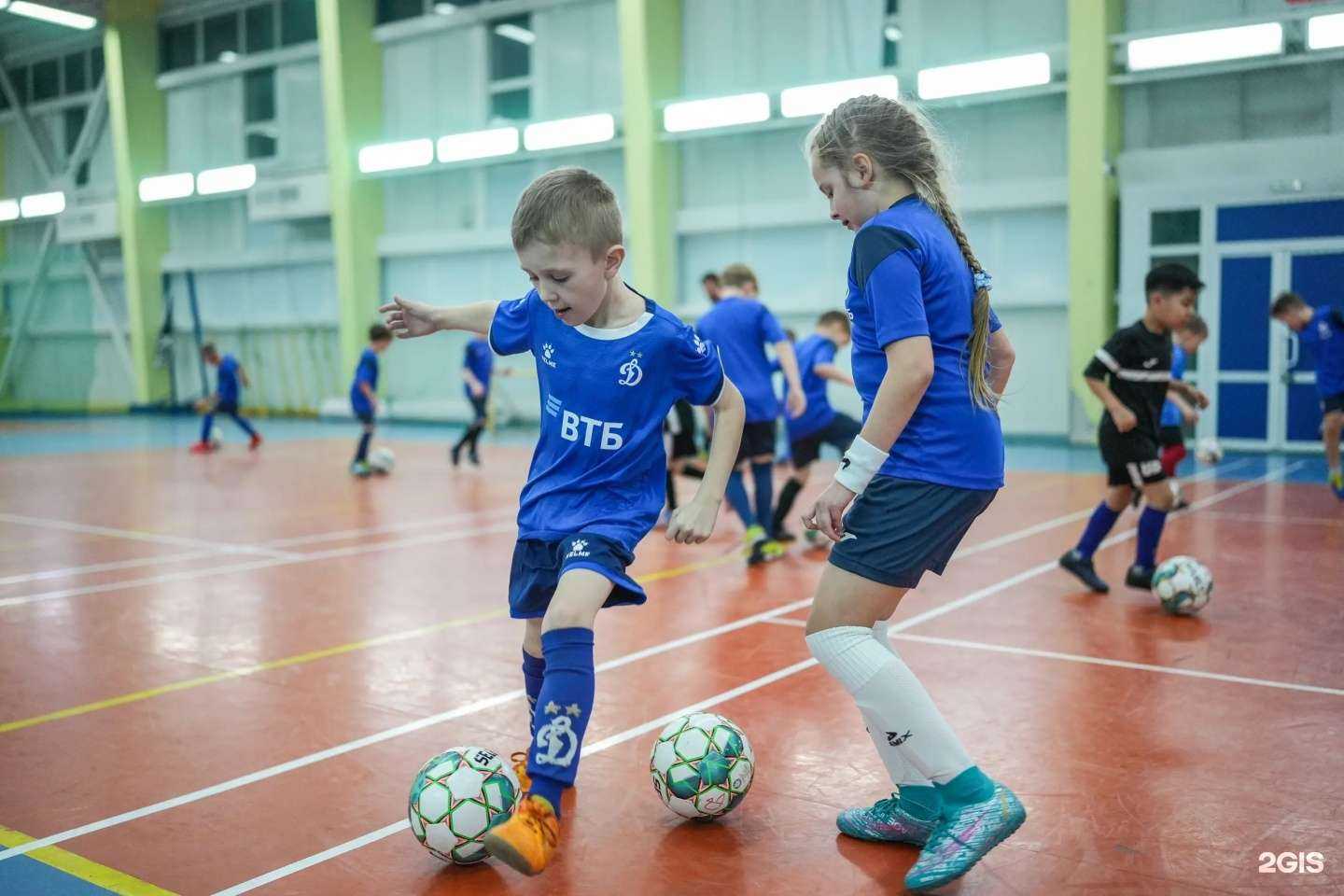 Отзывы на компанию Динамо в Владивостоке c фото