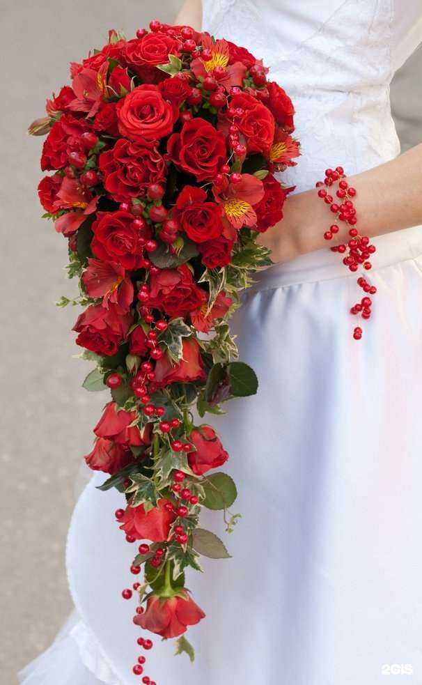 Отзывы на компанию Клевер в г. Кострома c фото