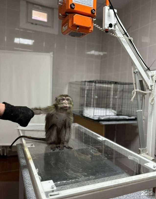 Отзывы на компанию Питомец в Черкесске c фото