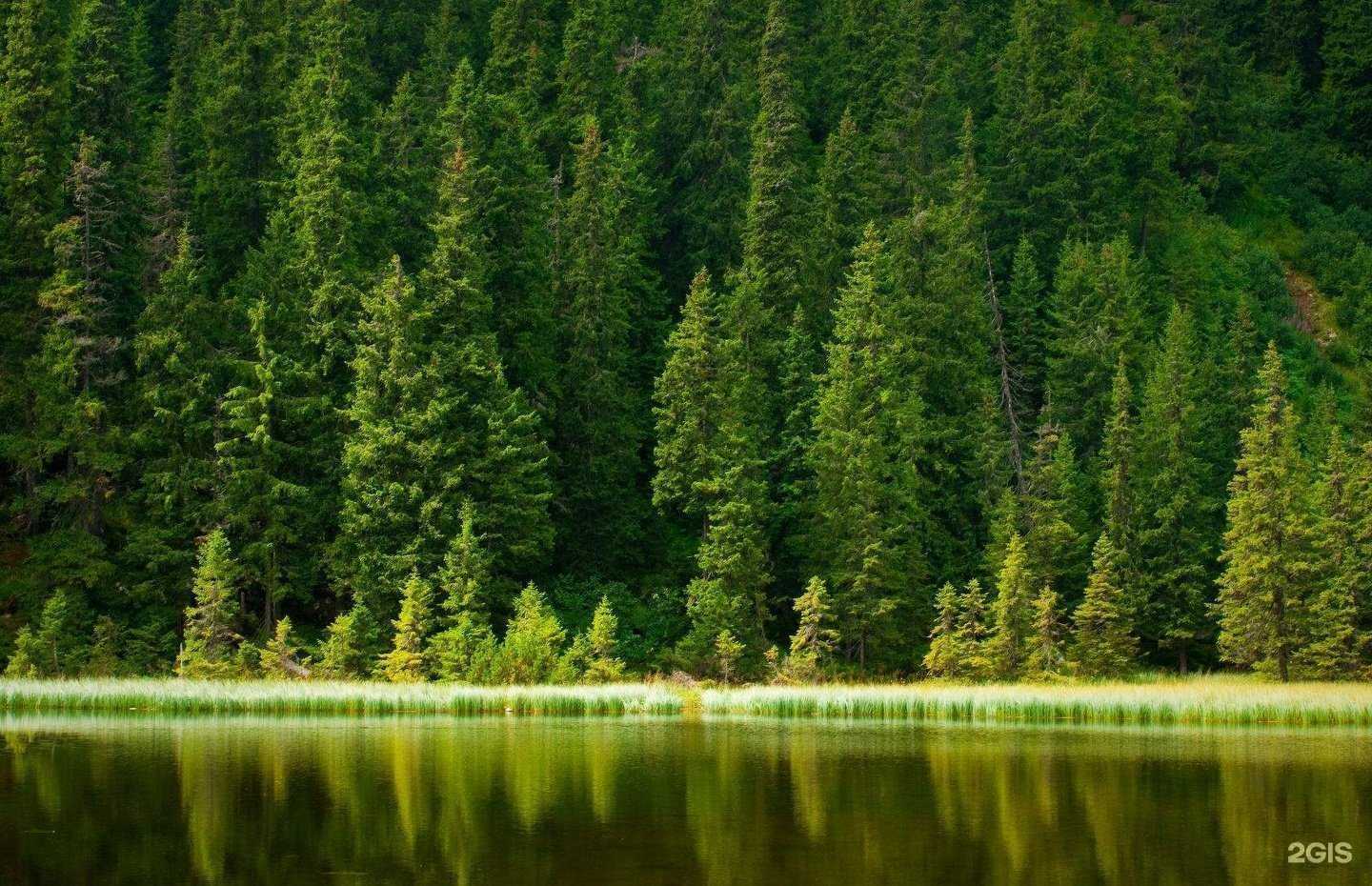 Отзывы на компанию Альфа в Новосибирске c фото