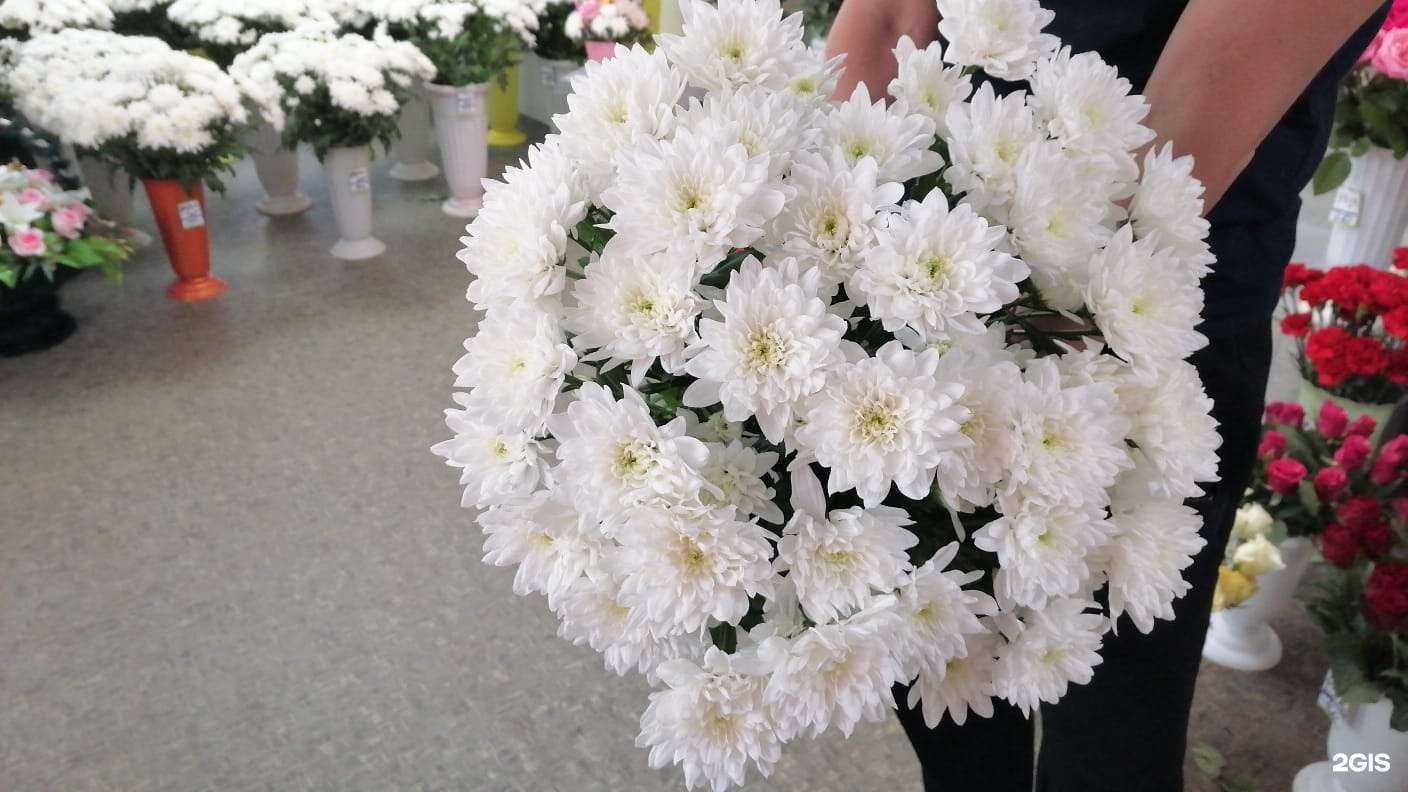 Отзывы на компанию Цветочный магазин в Старой Руссе c фото