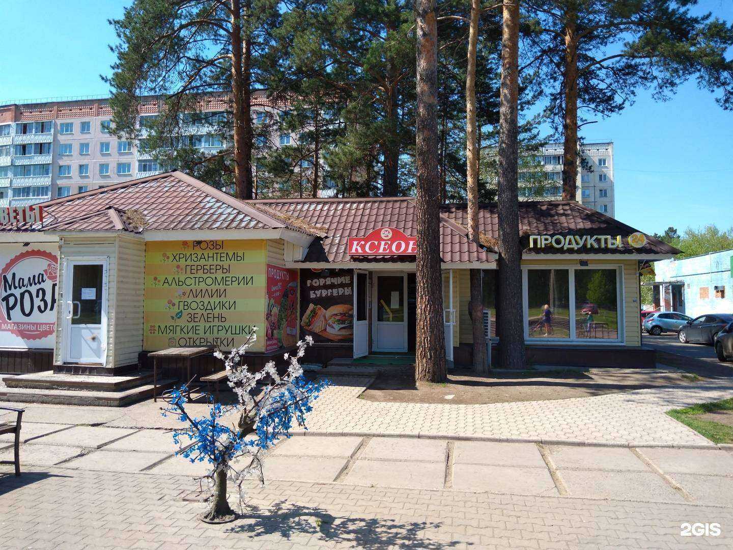 Отзывы на компанию Мама роза в Железногорске c фото - фотография 2 из 2