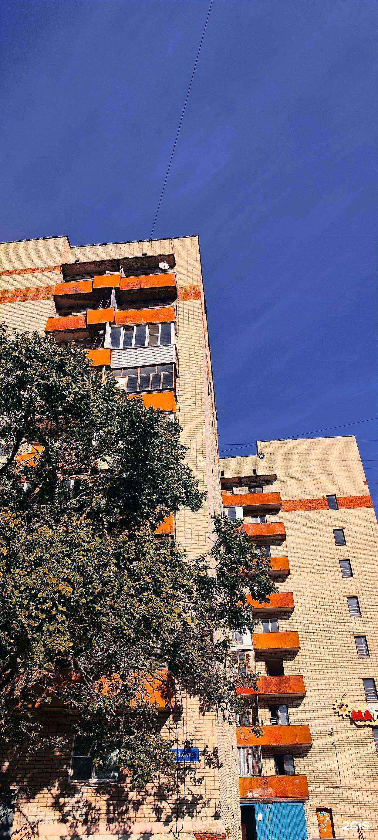 Отзывы на компанию Япония в Вологде c фото - фотография 2 из 2