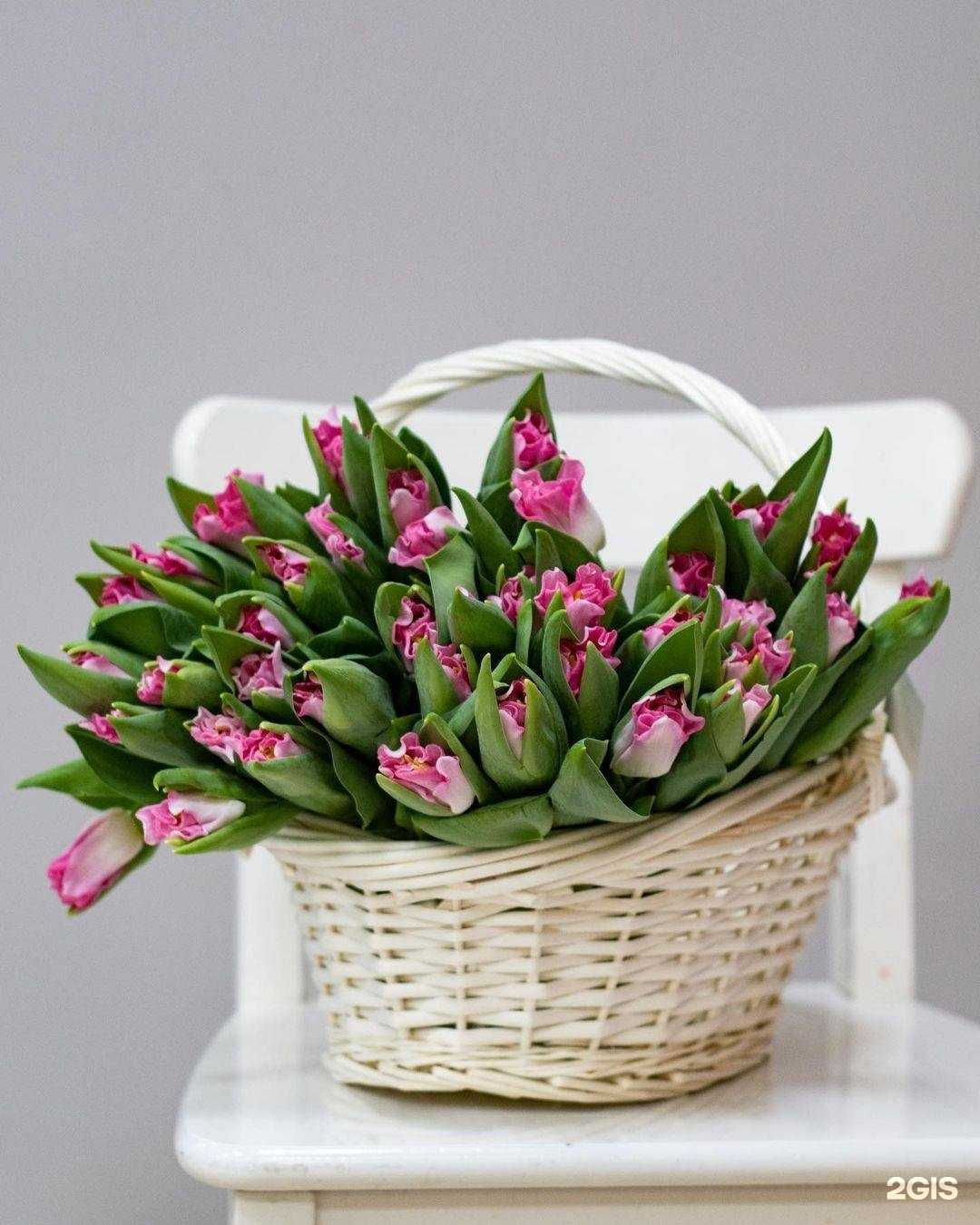 Отзывы на компанию Галерея цветов в г. Ногинск c фото