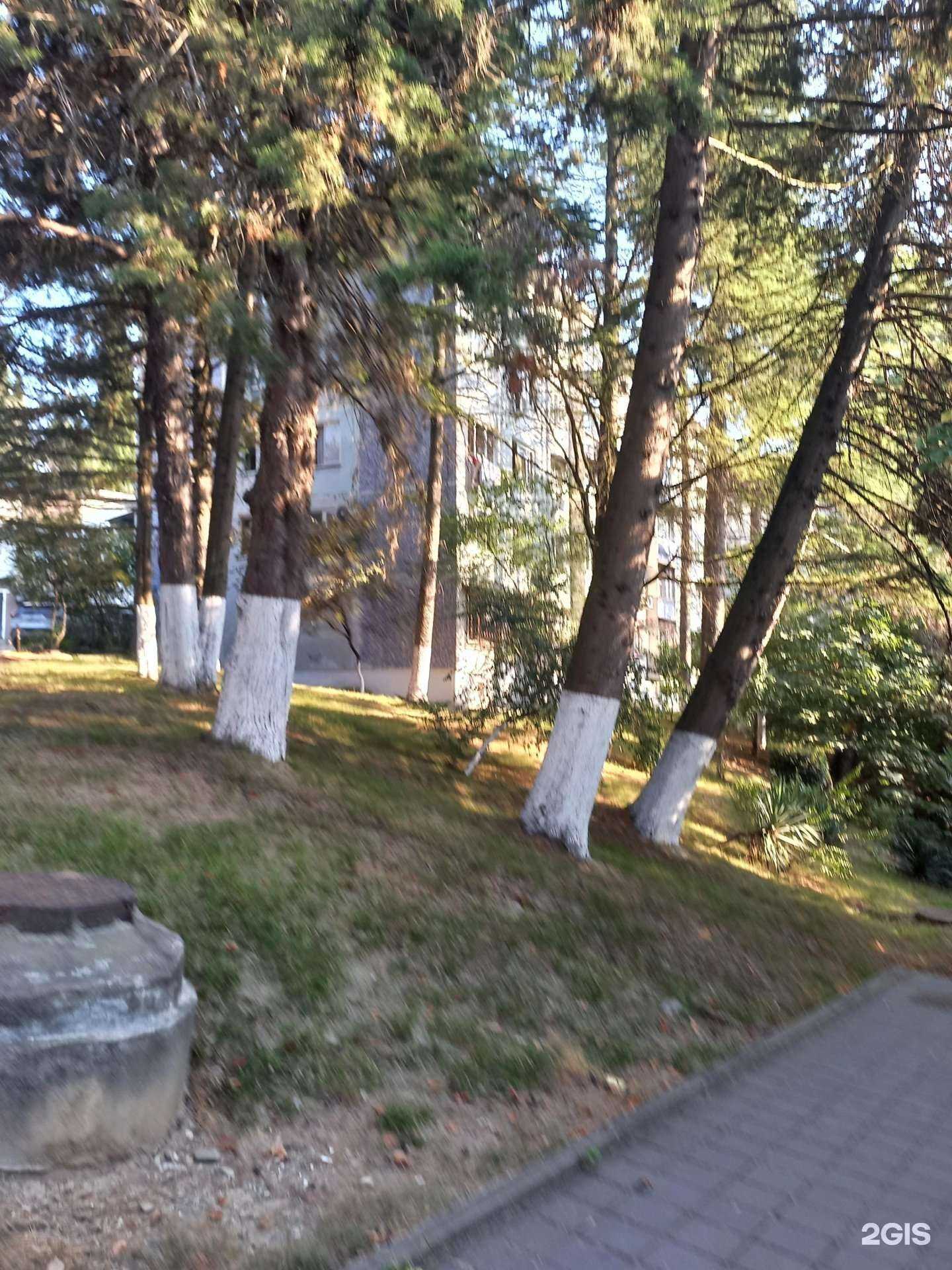 Отзывы на компанию Парадиз в Сочи c фото - фотография 2 из 2