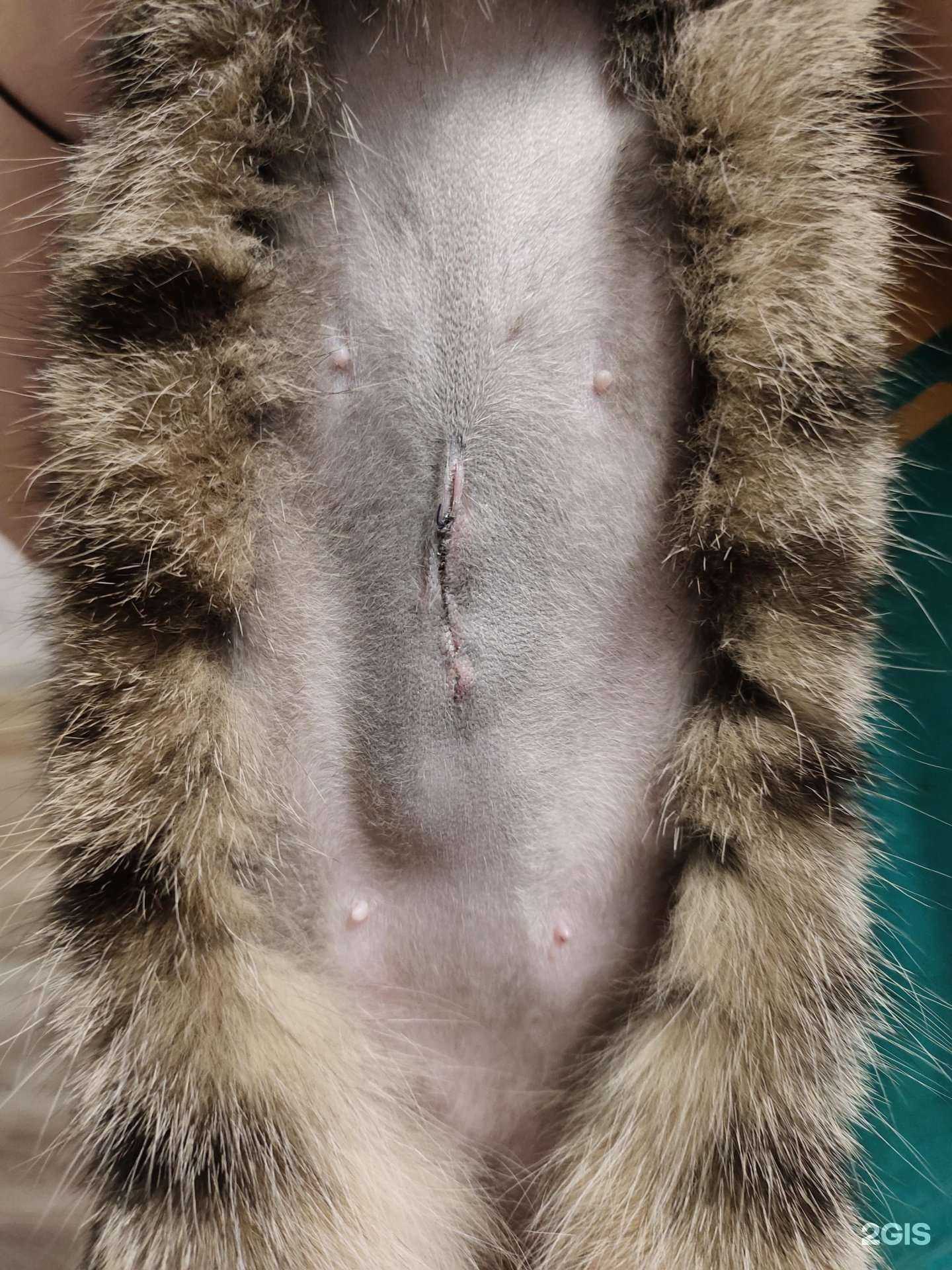 Отзывы на компанию Биовет в Мурманске c фото