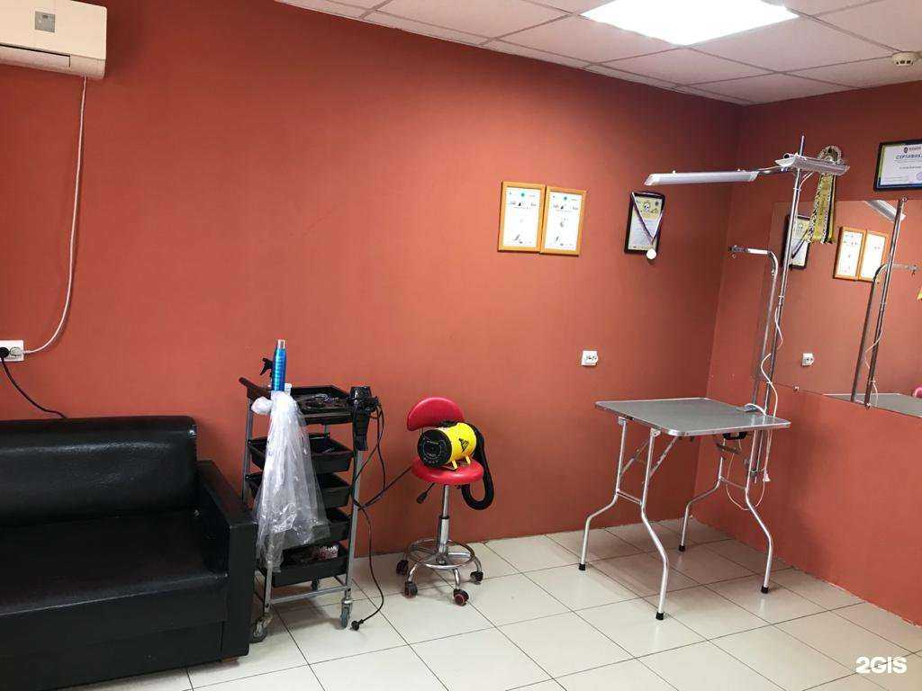 Отзывы на компанию Айболит в г. Армавир c фото