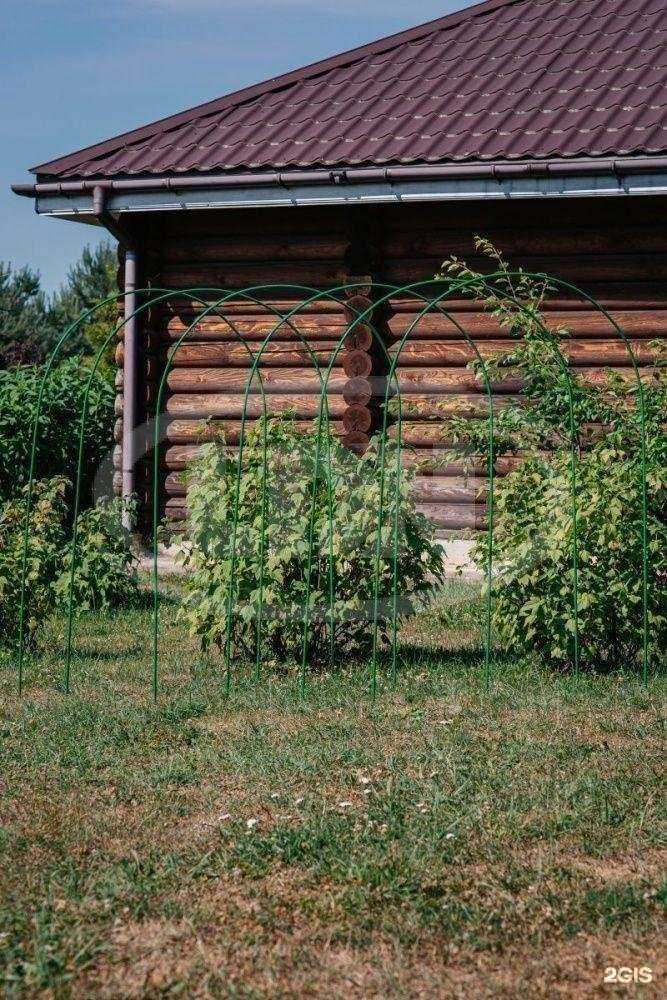 Отзывы на компанию Лдн в Твери c фото