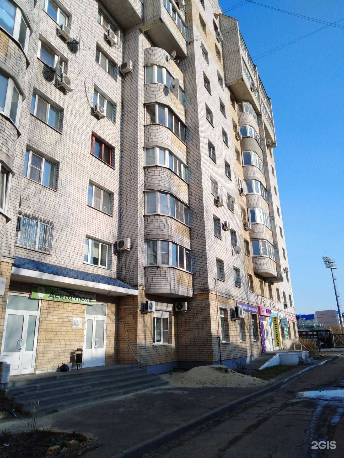 Отзывы на компанию Добрые лапы в Тамбове c фото - фотография 2 из 2