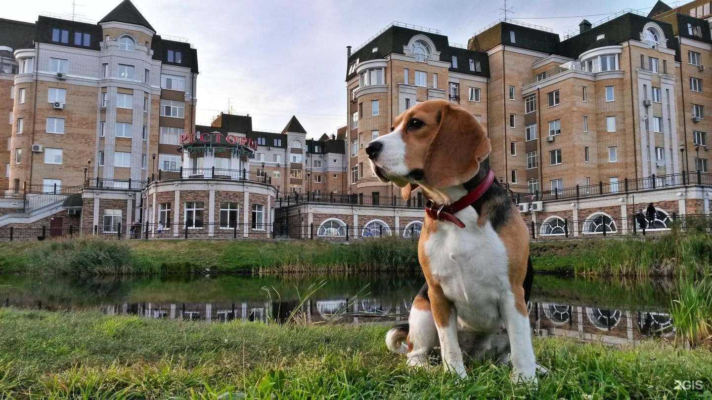 Отзывы на компанию Шаровня в Тюмени c фото - фотография 2 из 2