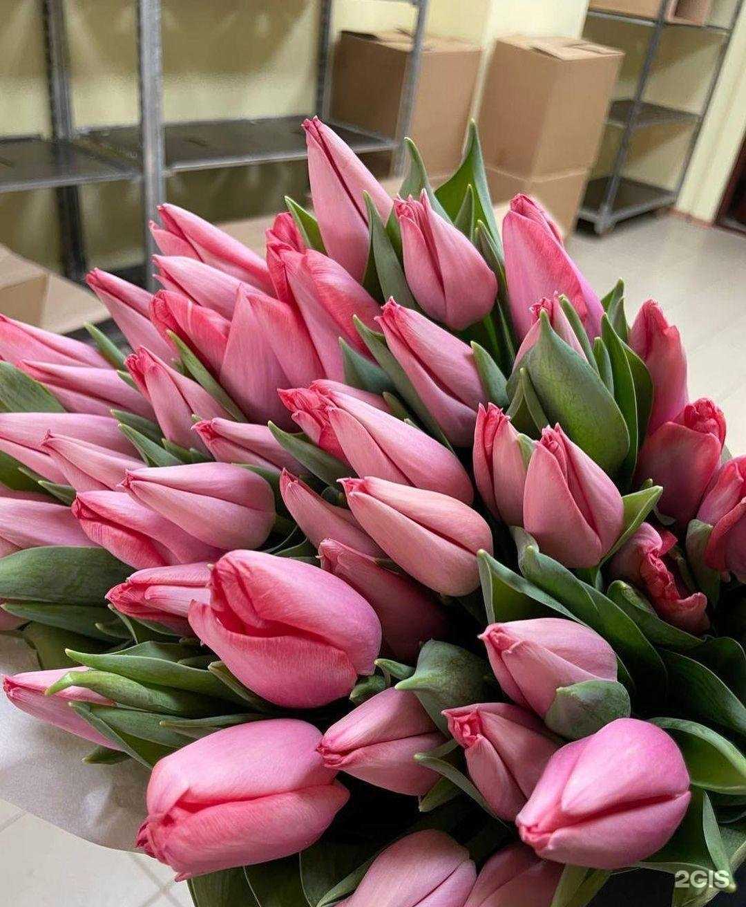 Отзывы на компанию Florinna в г. Смоленск c фото