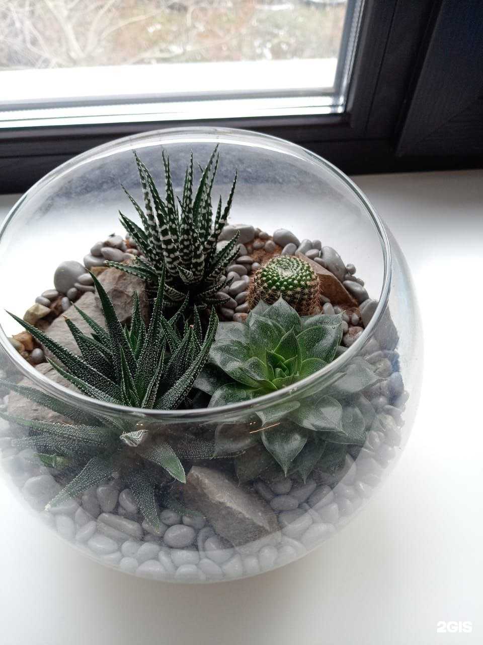 Отзывы на компанию Гном в Томске c фото