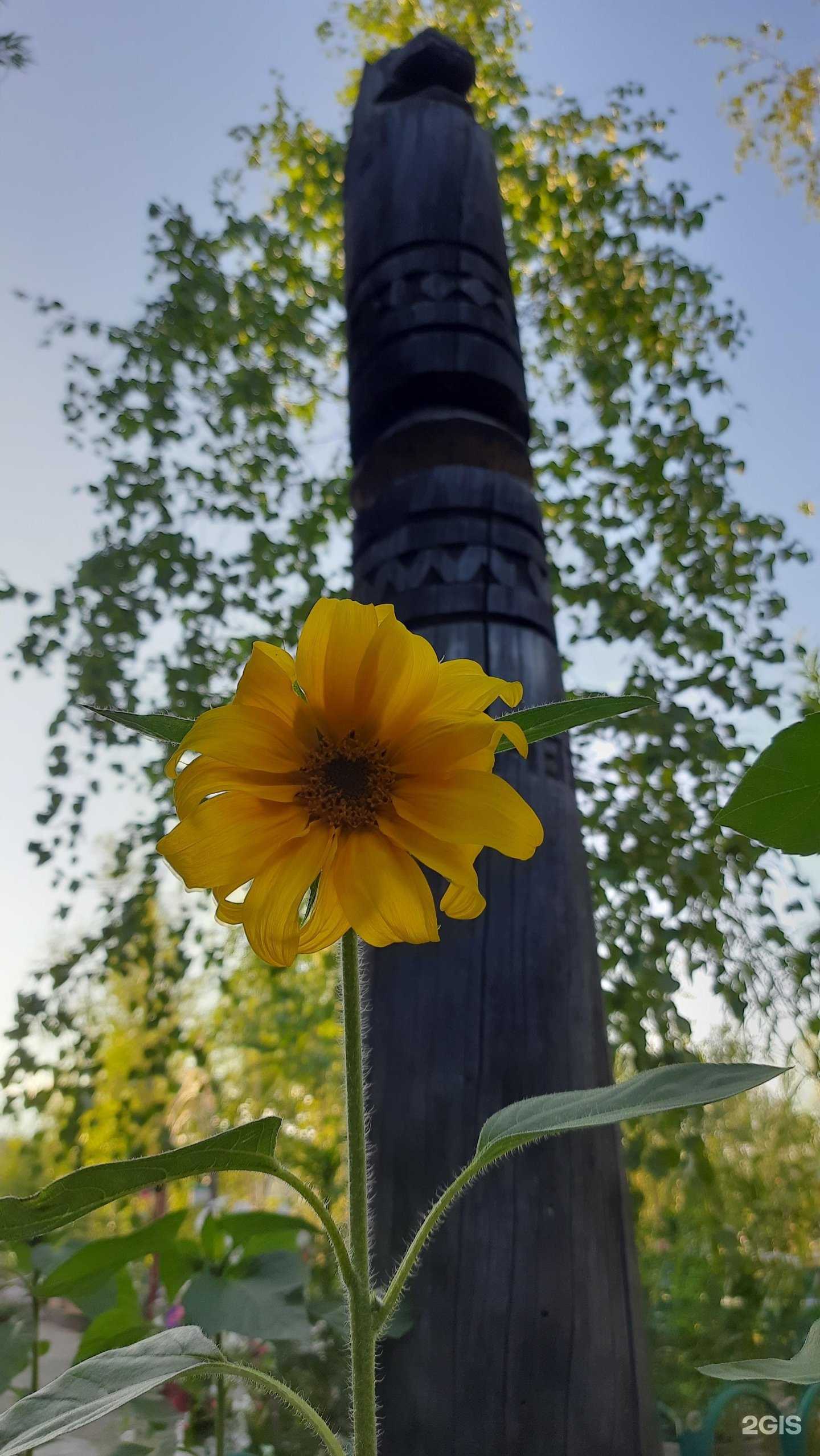 Отзывы на компанию Росток в г. Якутск c фото