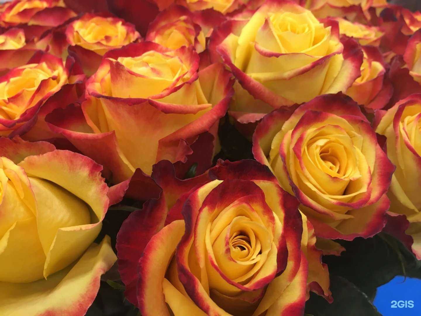 Отзывы на компанию Цветочный в Кургане c фото