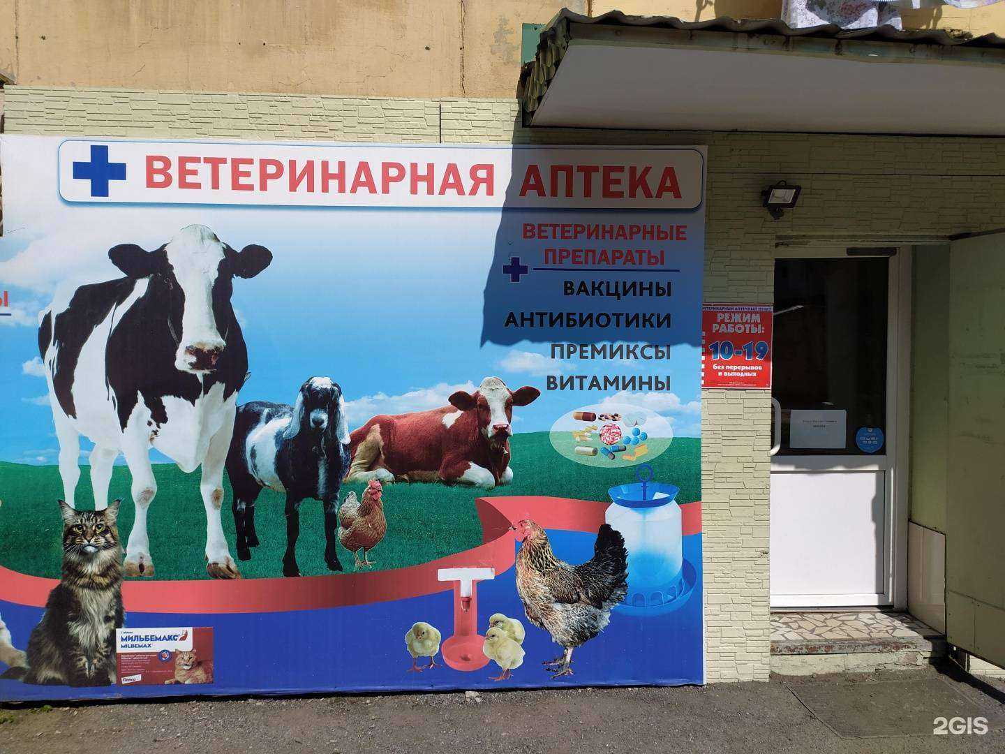 Отзывы на компанию Ветеринарный аптечный пункт в г. Находка c фото