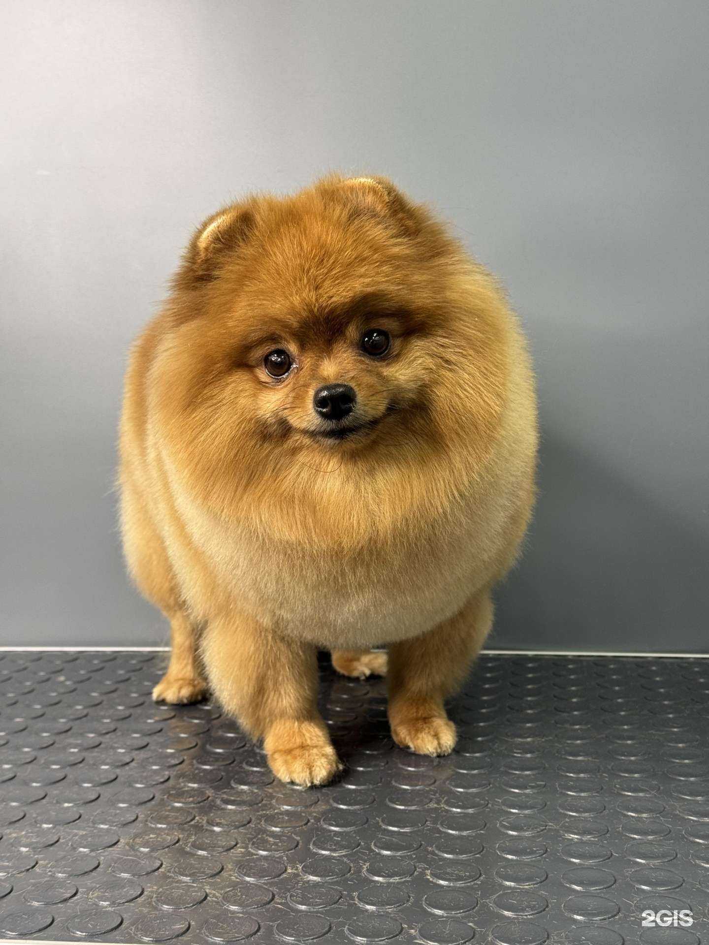 Отзывы на компанию  Бонечка в Костроме c фото