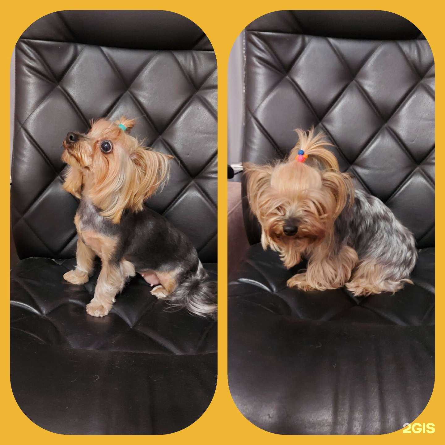 Отзывы на компанию Студия нечеловеческой красоты в Орске c фото