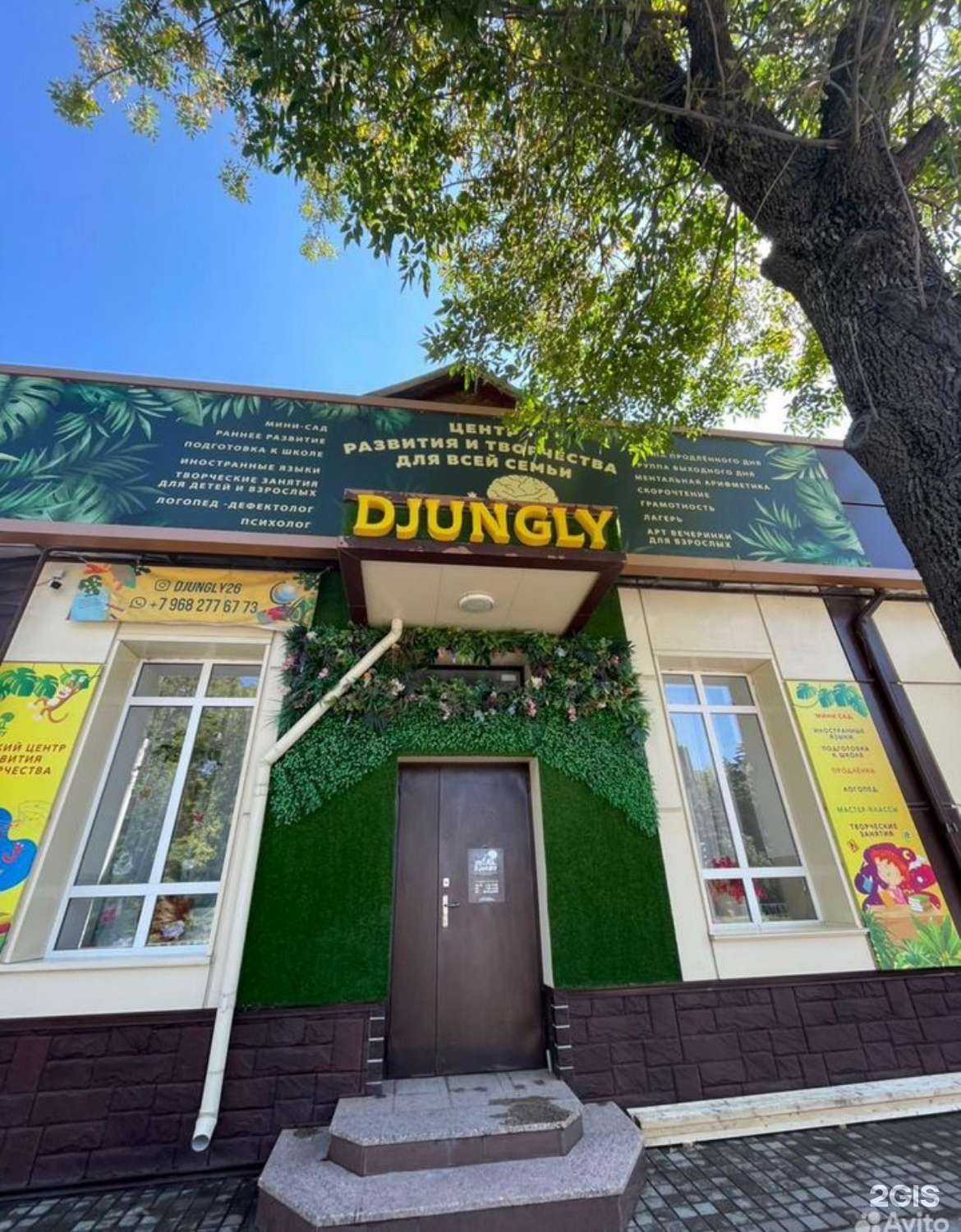 Отзывы на компанию Djungly в г. Ессентуки c фото