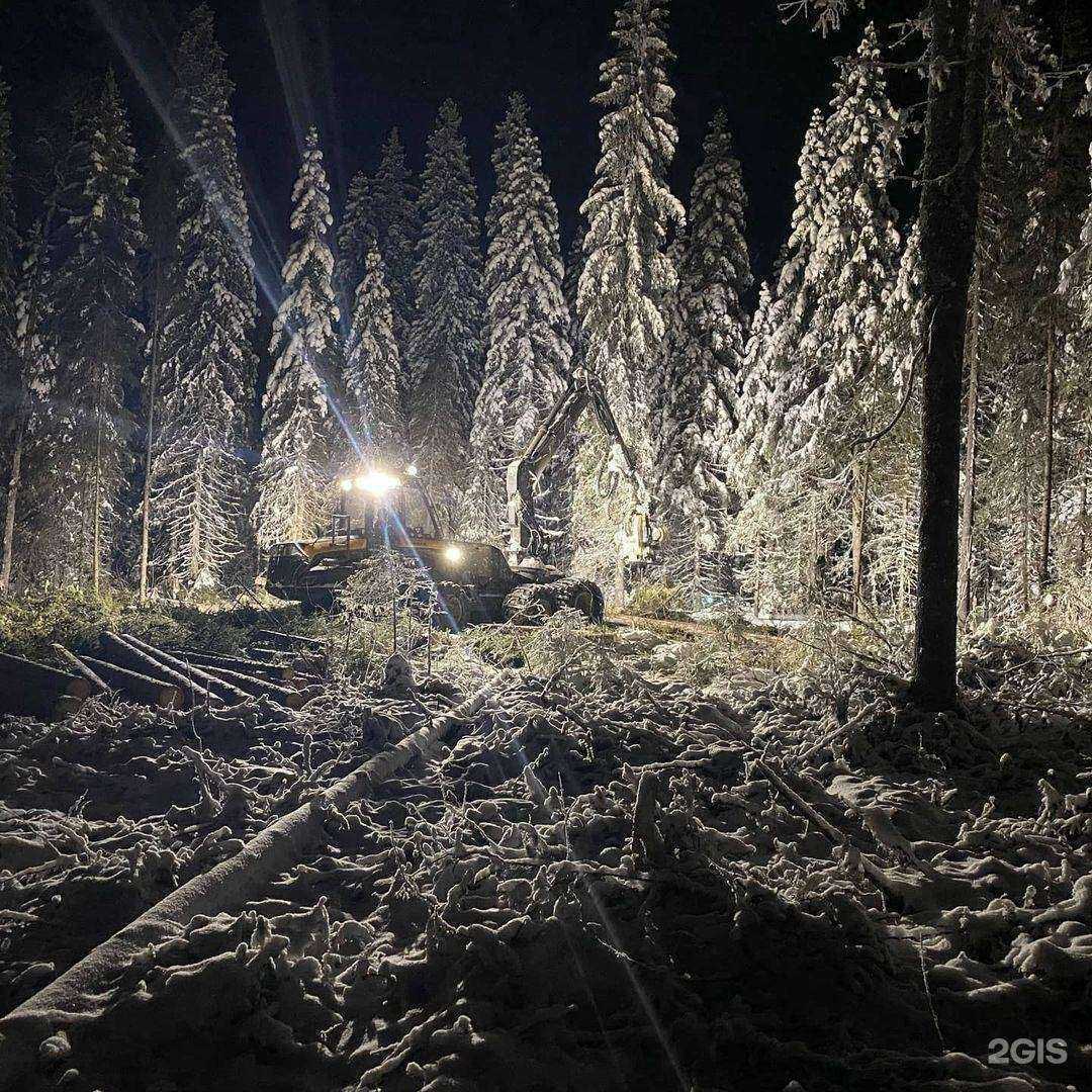 Отзывы на компанию Регион-лес в Архангельске c фото