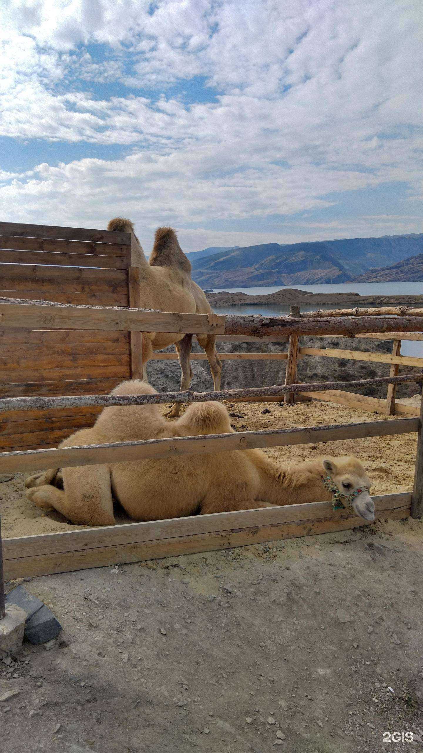 Отзывы на компанию Etalon Travel в Махачкале c фото