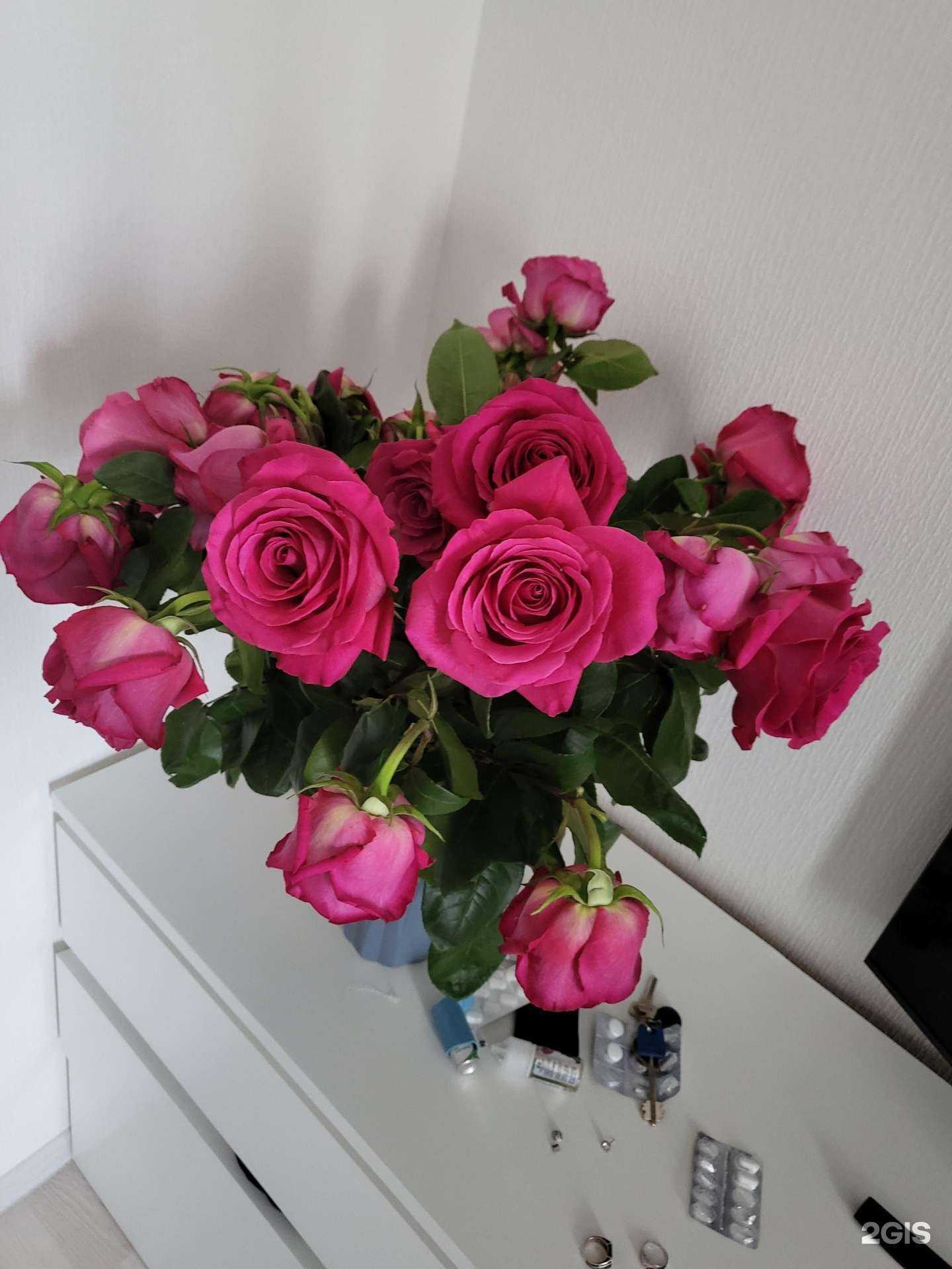 Отзывы на компанию Дверь в Леttо в Новосибирске c фото