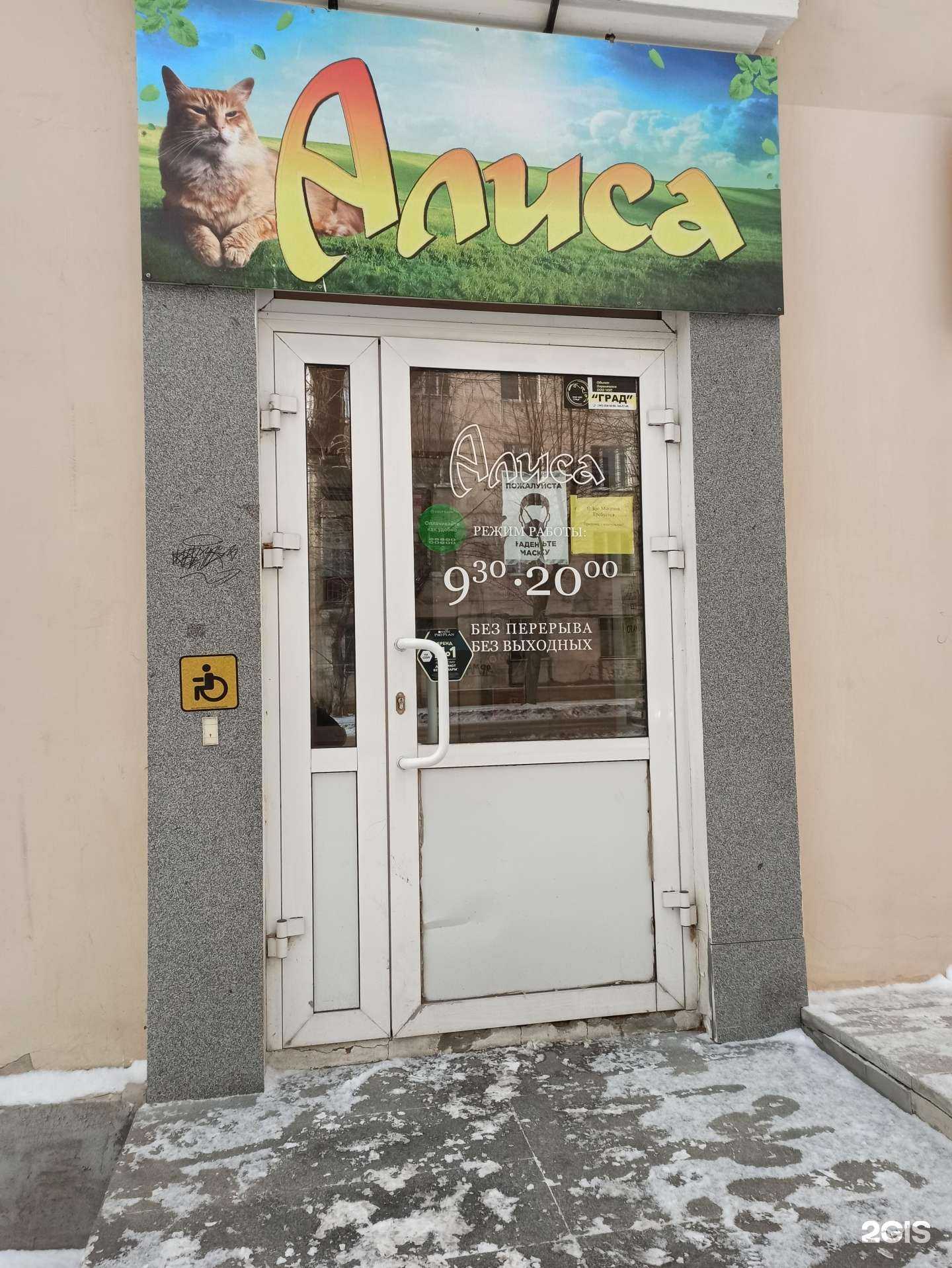 Отзывы на компанию Алиса в Екатеринбурге c фото