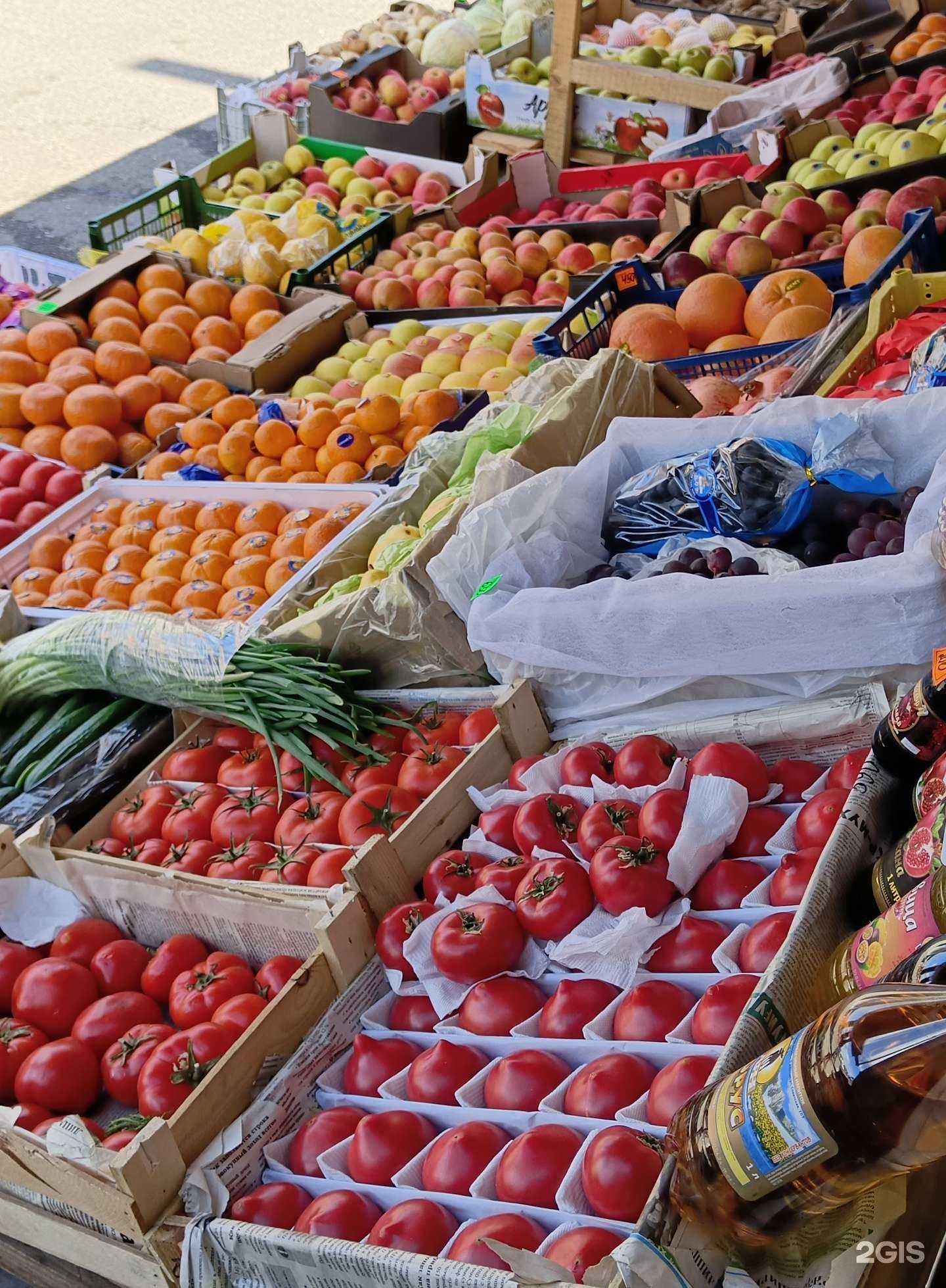 Отзывы на компанию Рибасиб в Абакане c фото